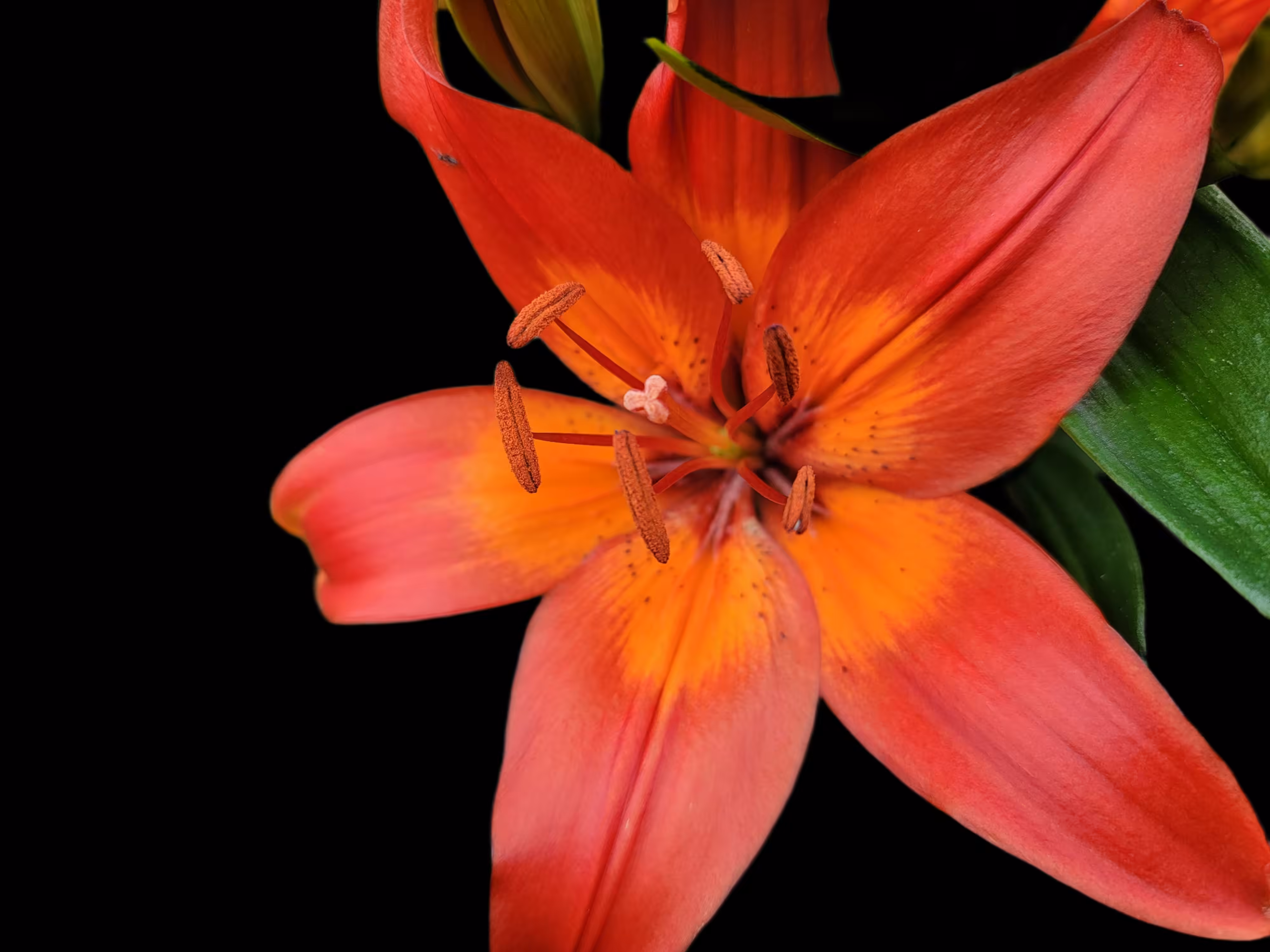06
