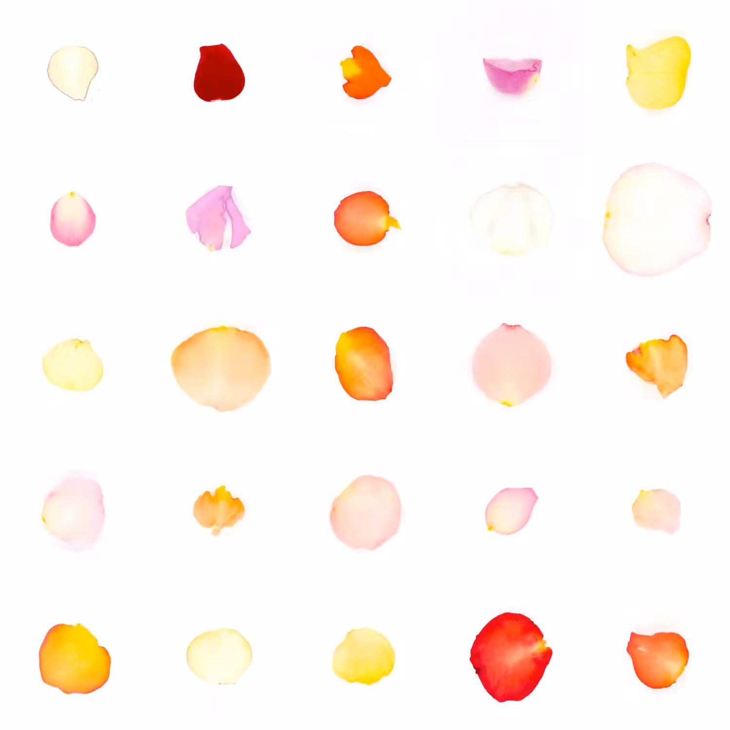 Infinite Petals 5x5#20343