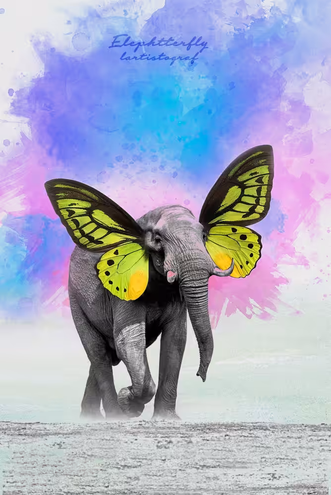 Elephtterfly
