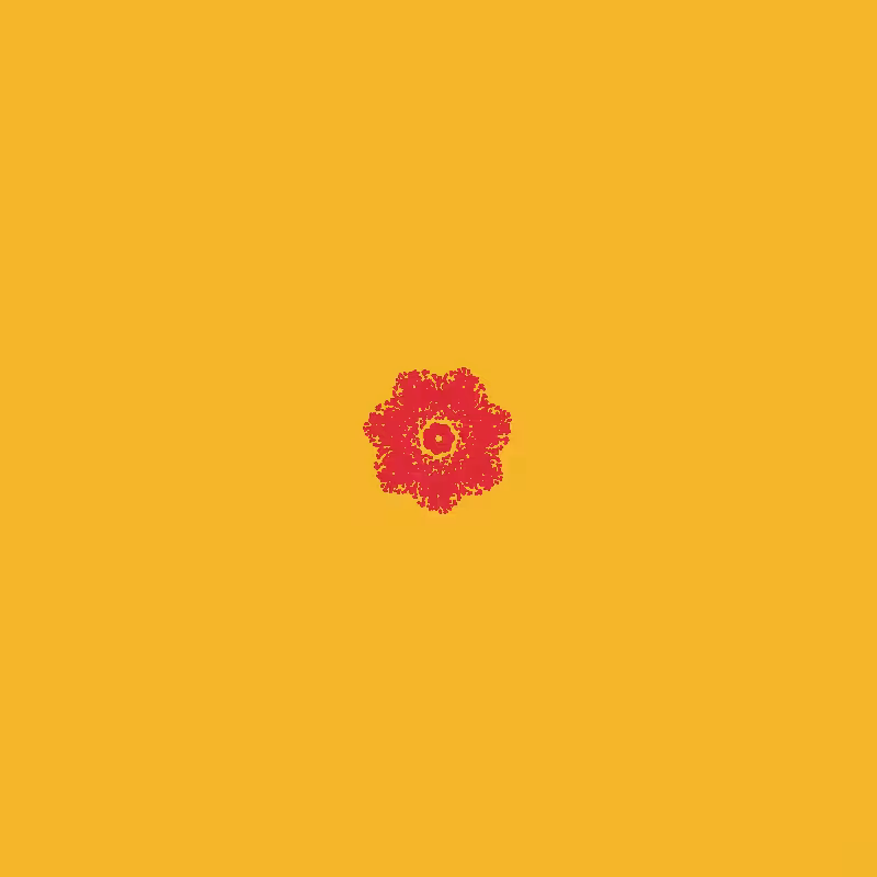 petal sunrise