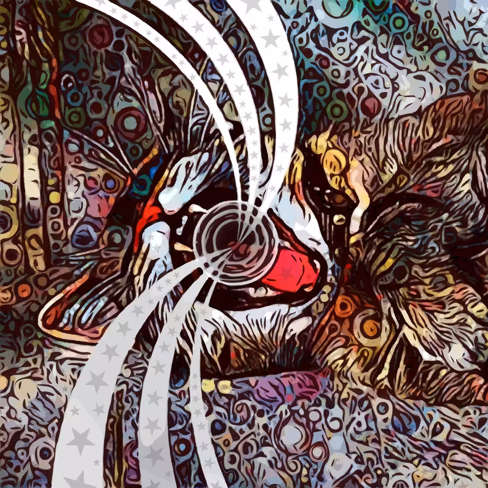 The Cat's Meow