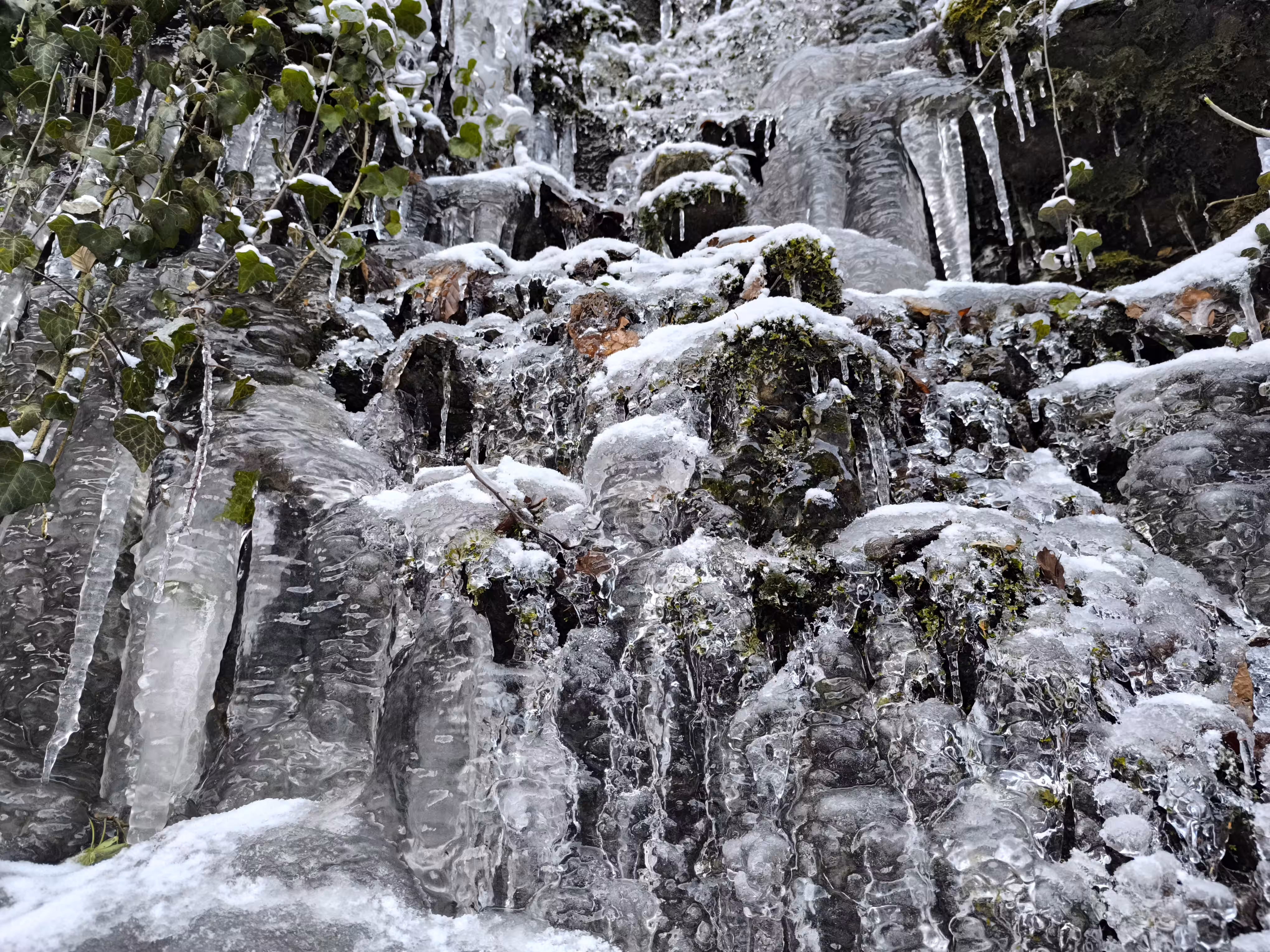 Frozen Dreams