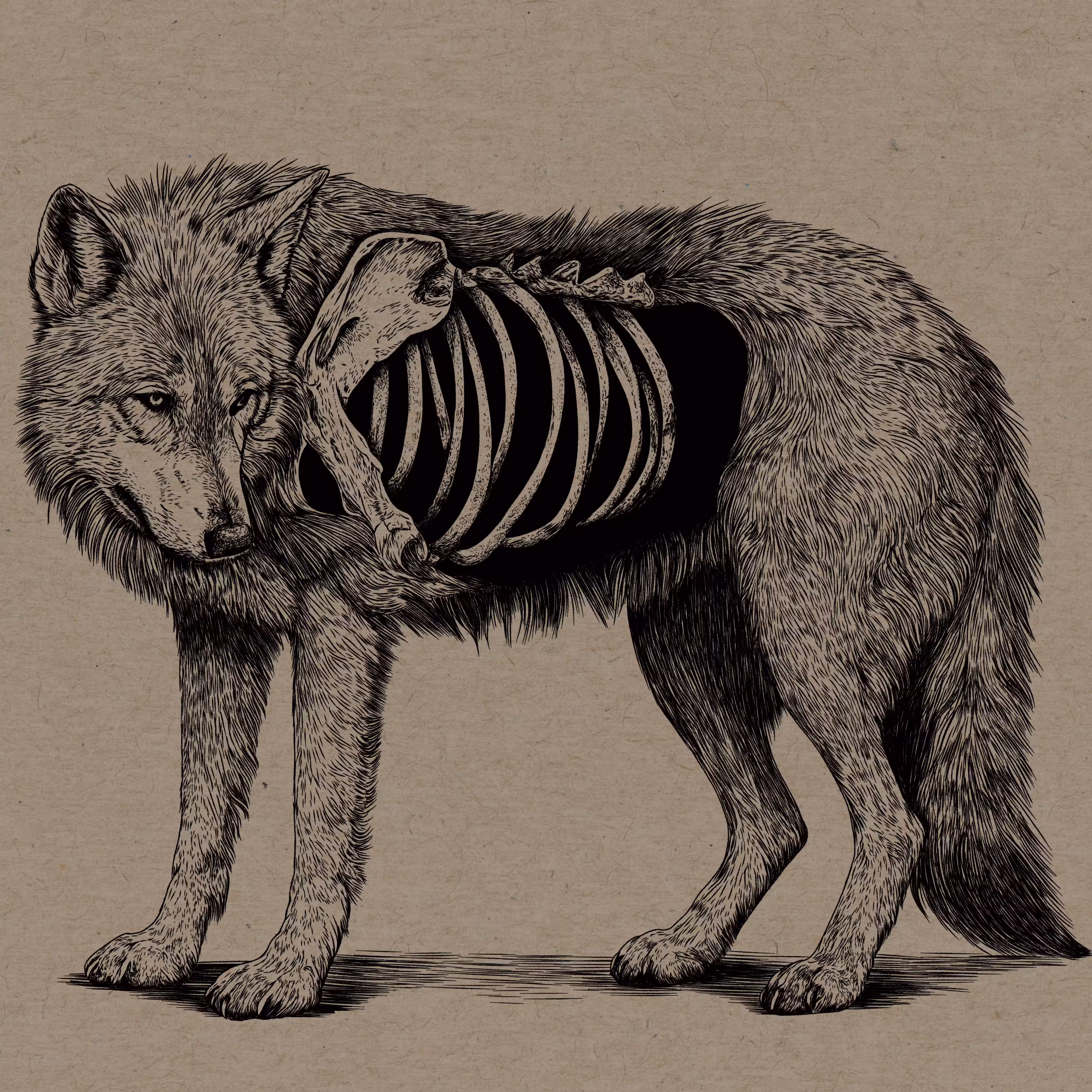 wolf thing