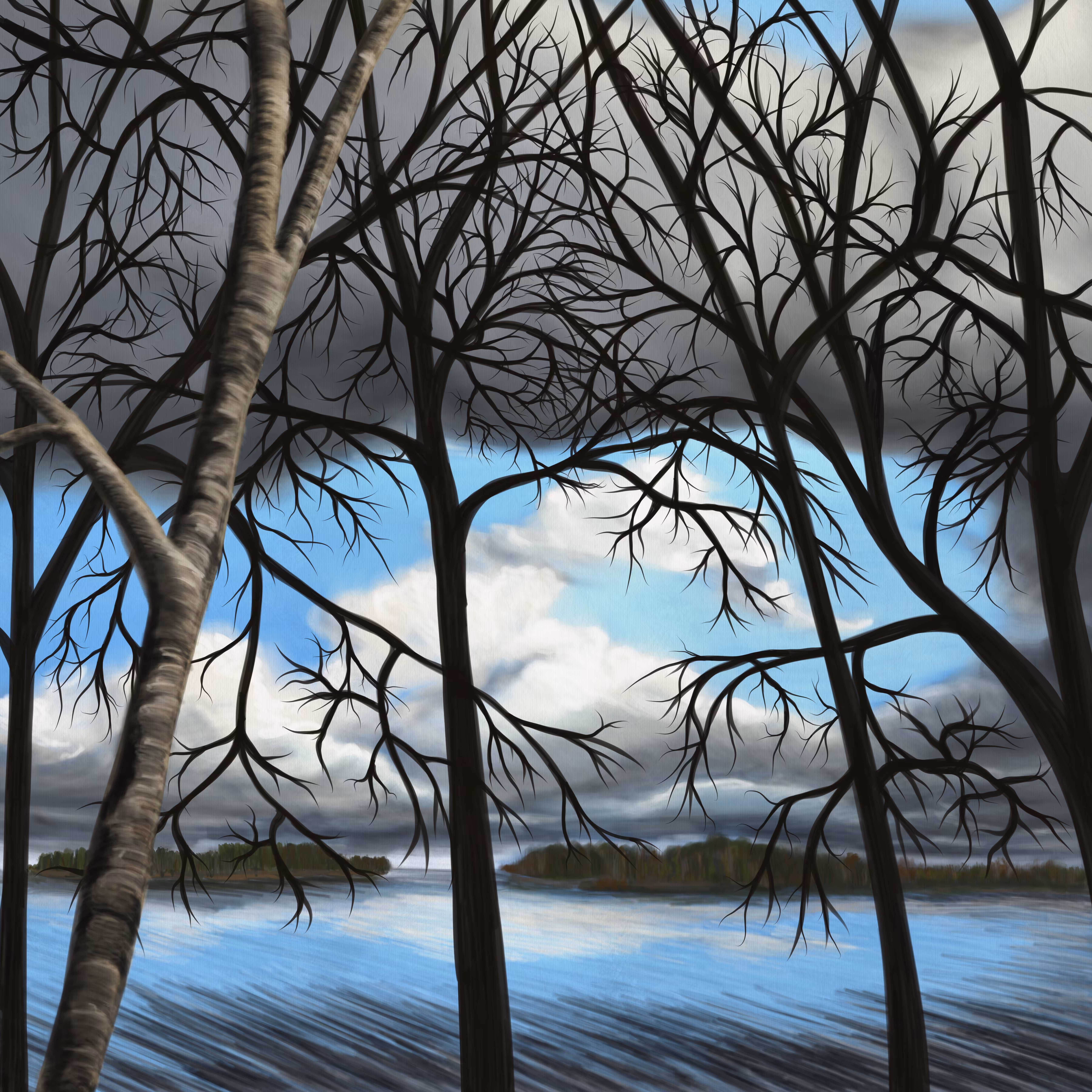 Life Impression 41