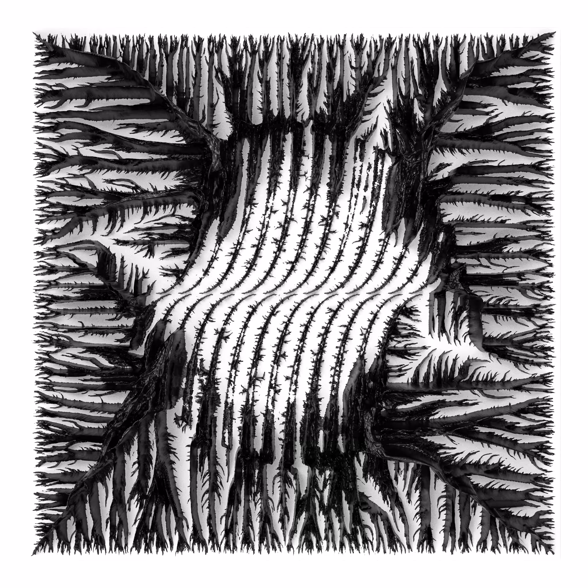 BW Algoscapes 16
