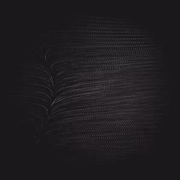 BWP#7: Monochrome Movement #26