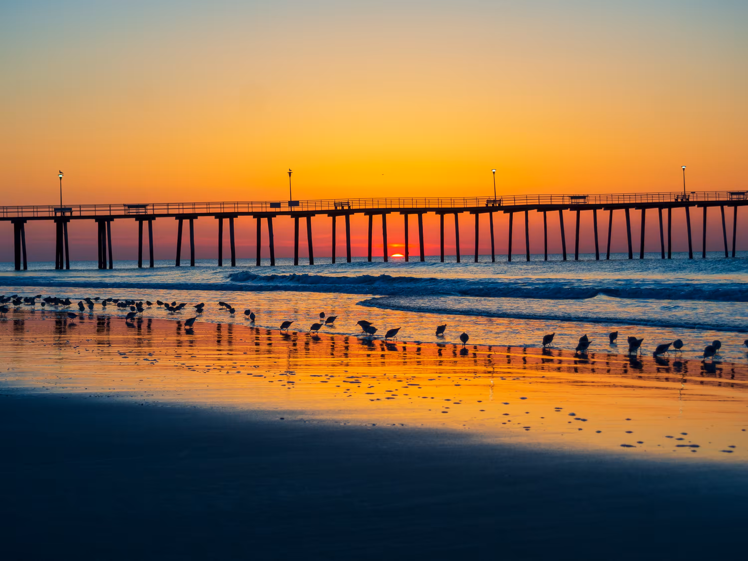 Sunrise For The Birds
