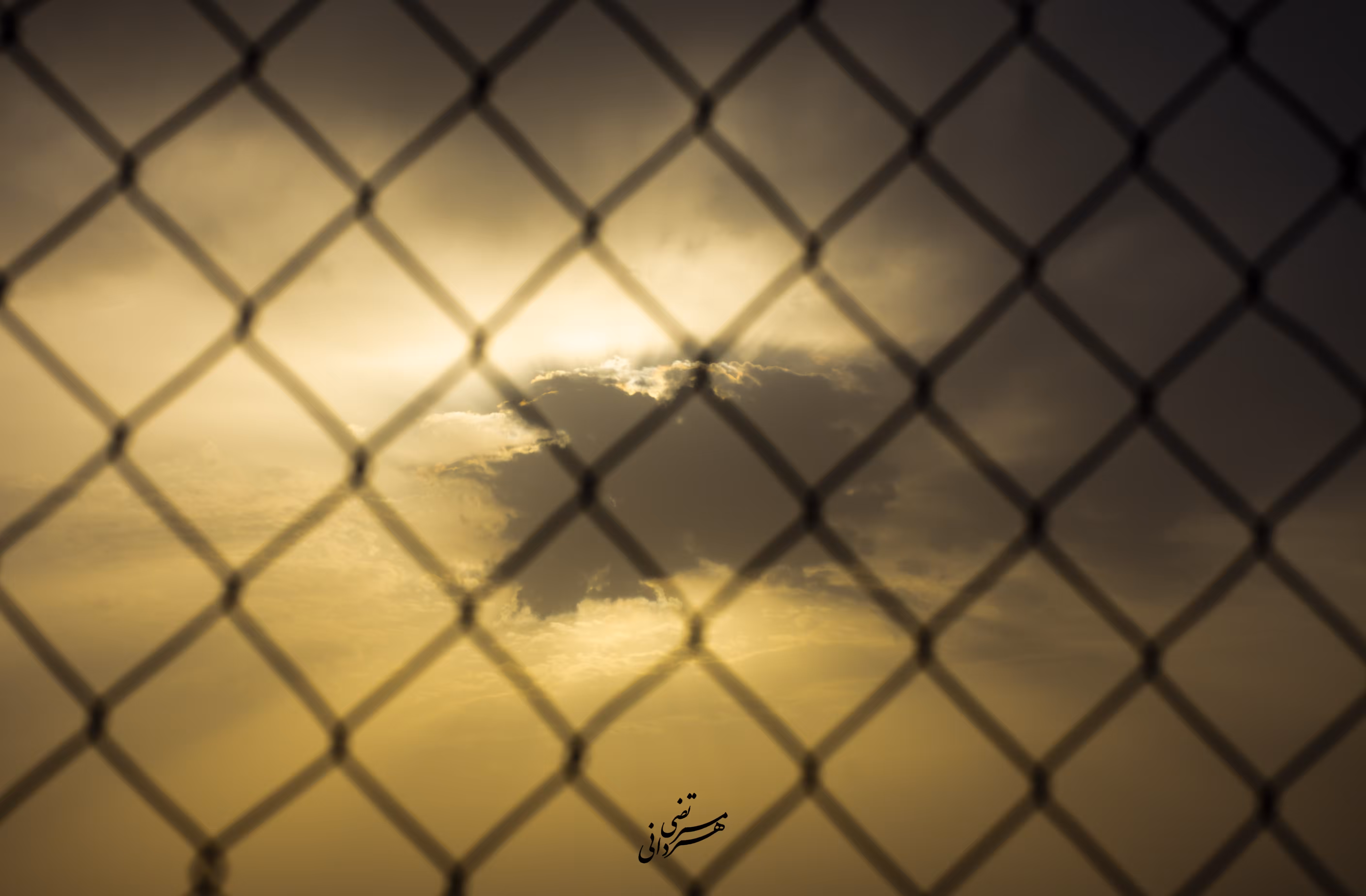Sad Sunset