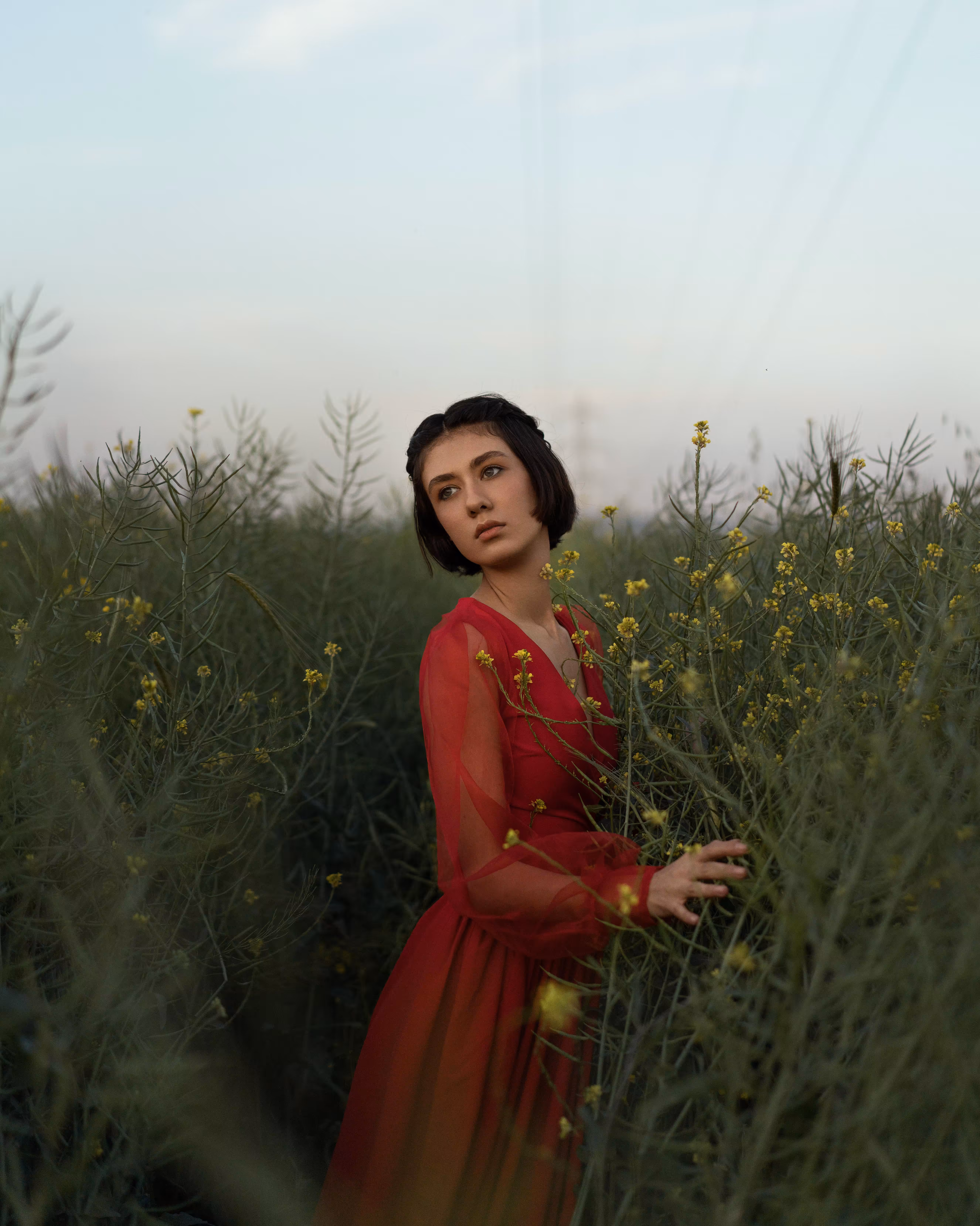 Red Sorrow