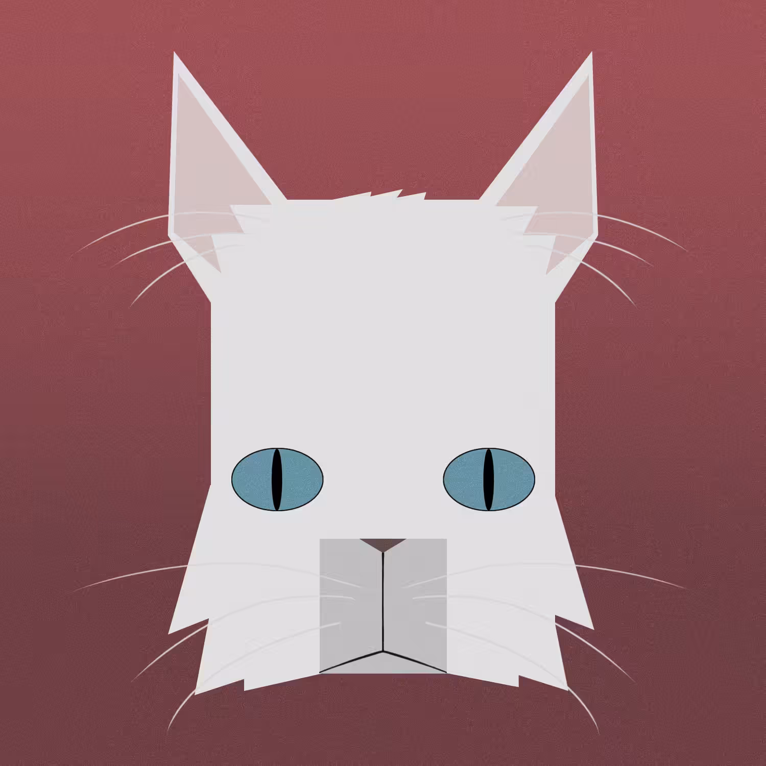 kitty #1 - angora