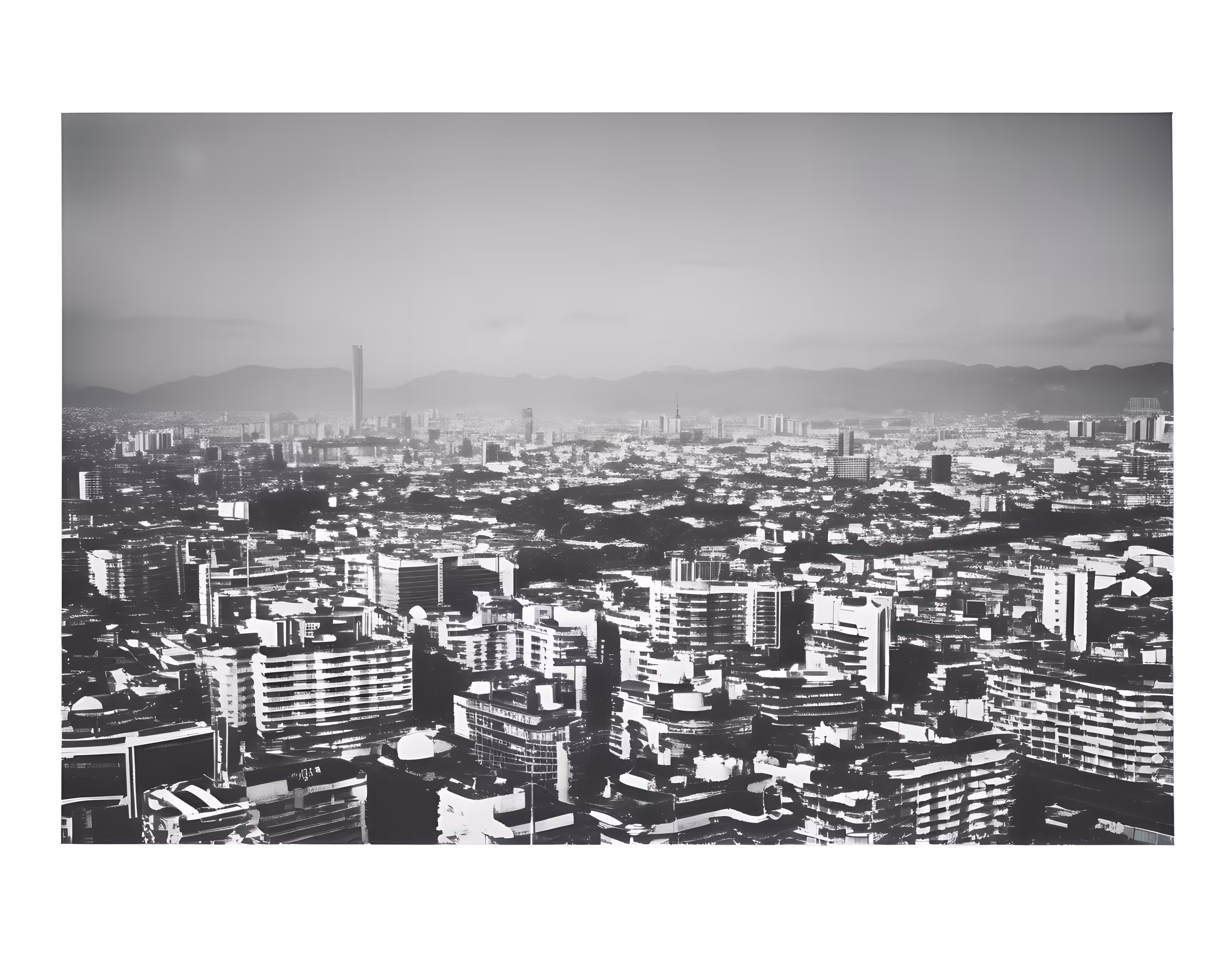 SYNTHETIC PHOTOGRAPHY RAW #29