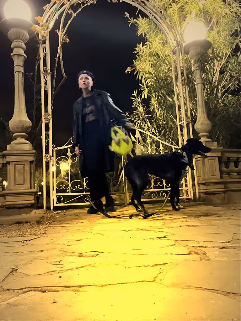 March 20: Dreaming of  the Yellow Brick Road