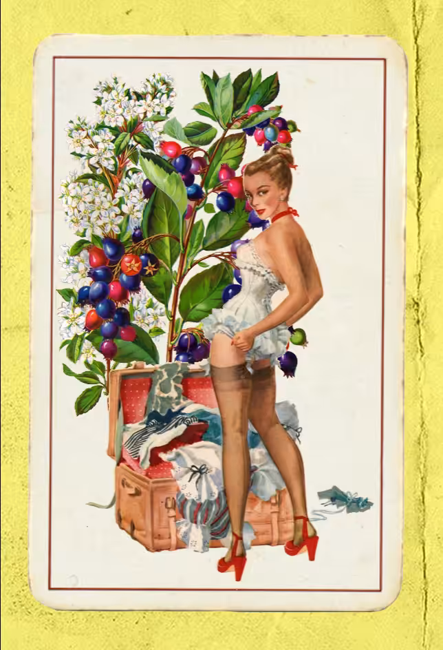 Paper Pinups #10