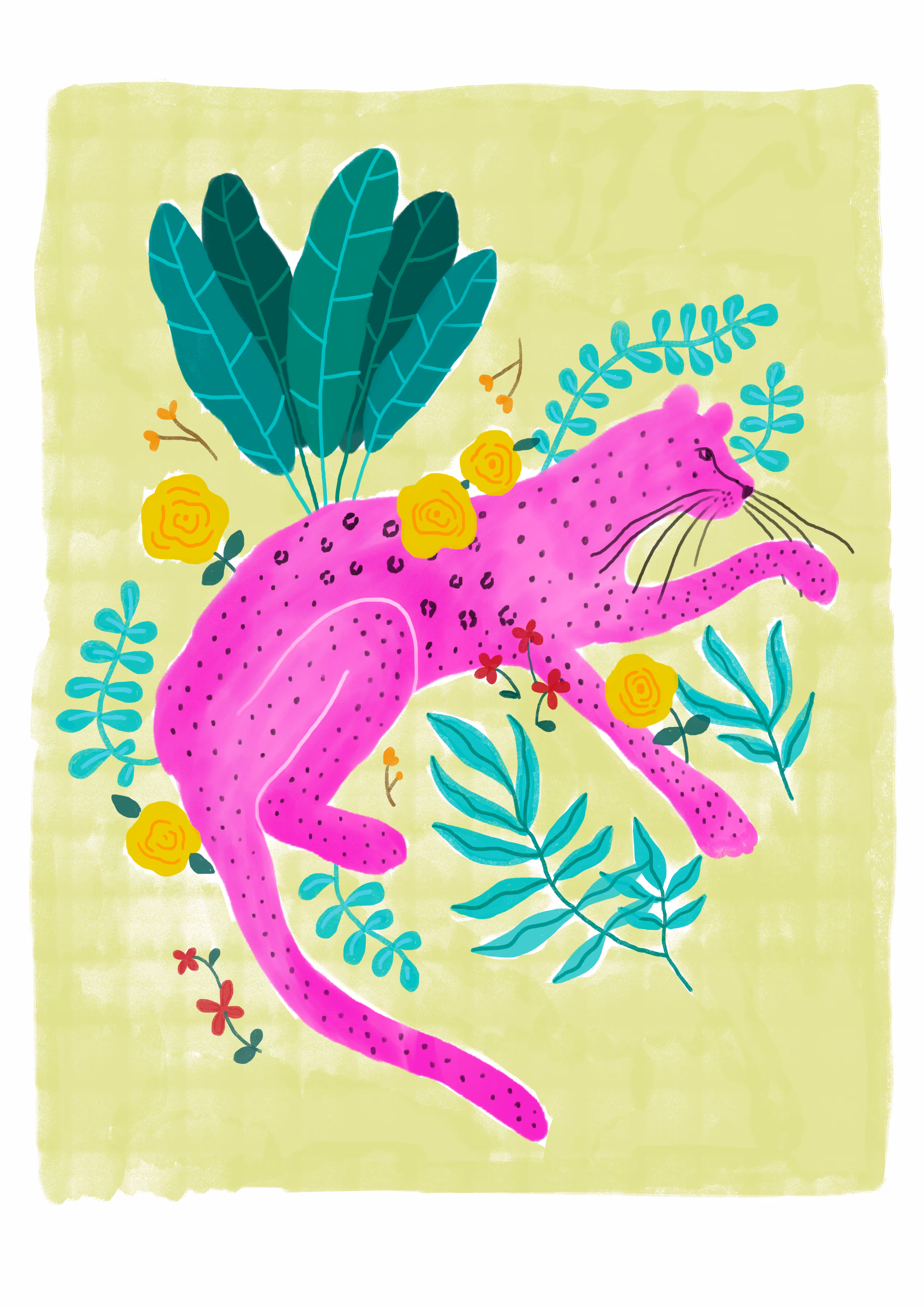 Pink Jaguar