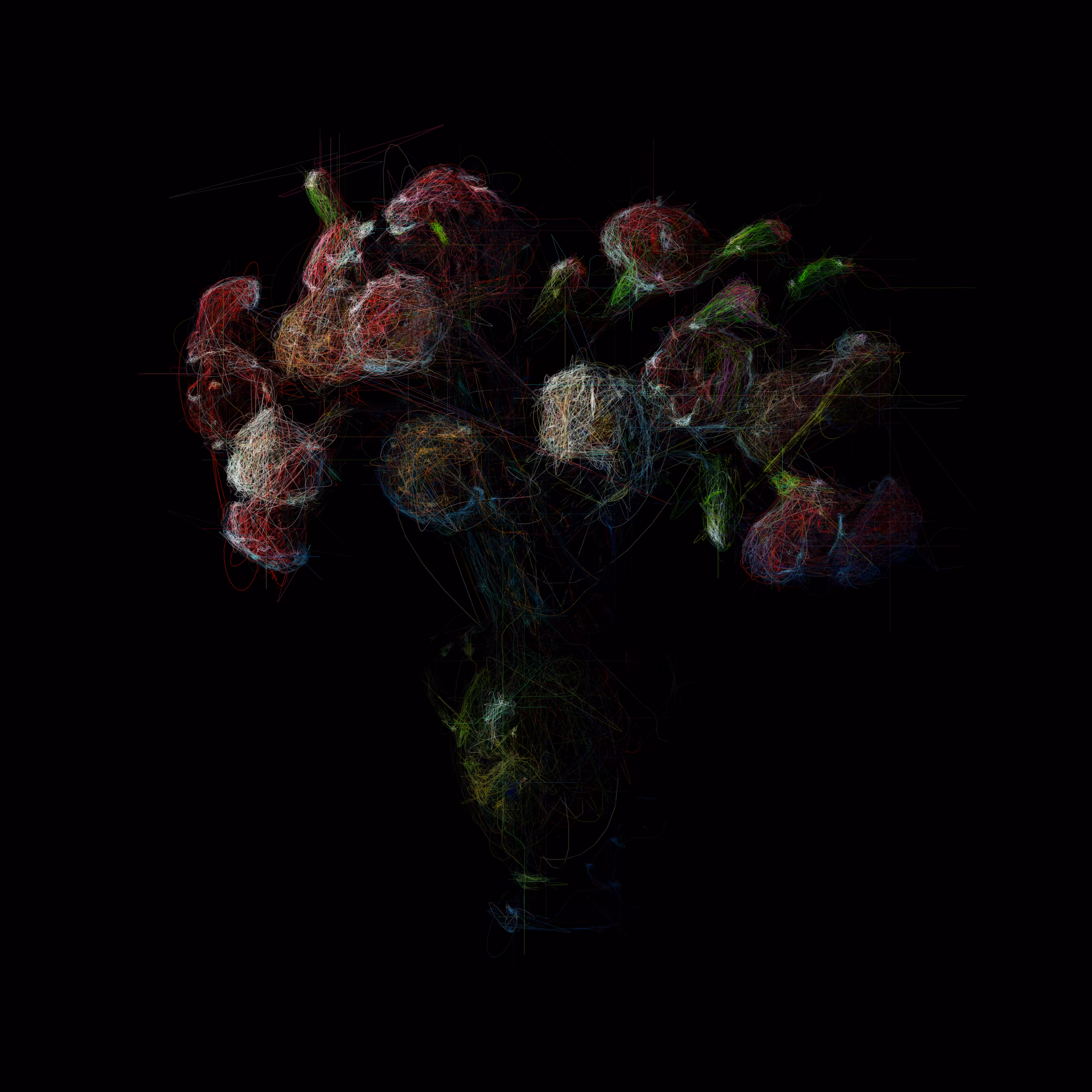 Multi Coloured Carnations I