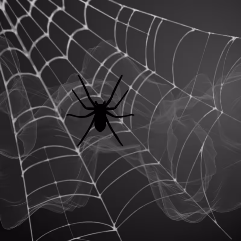 Black Spider #4