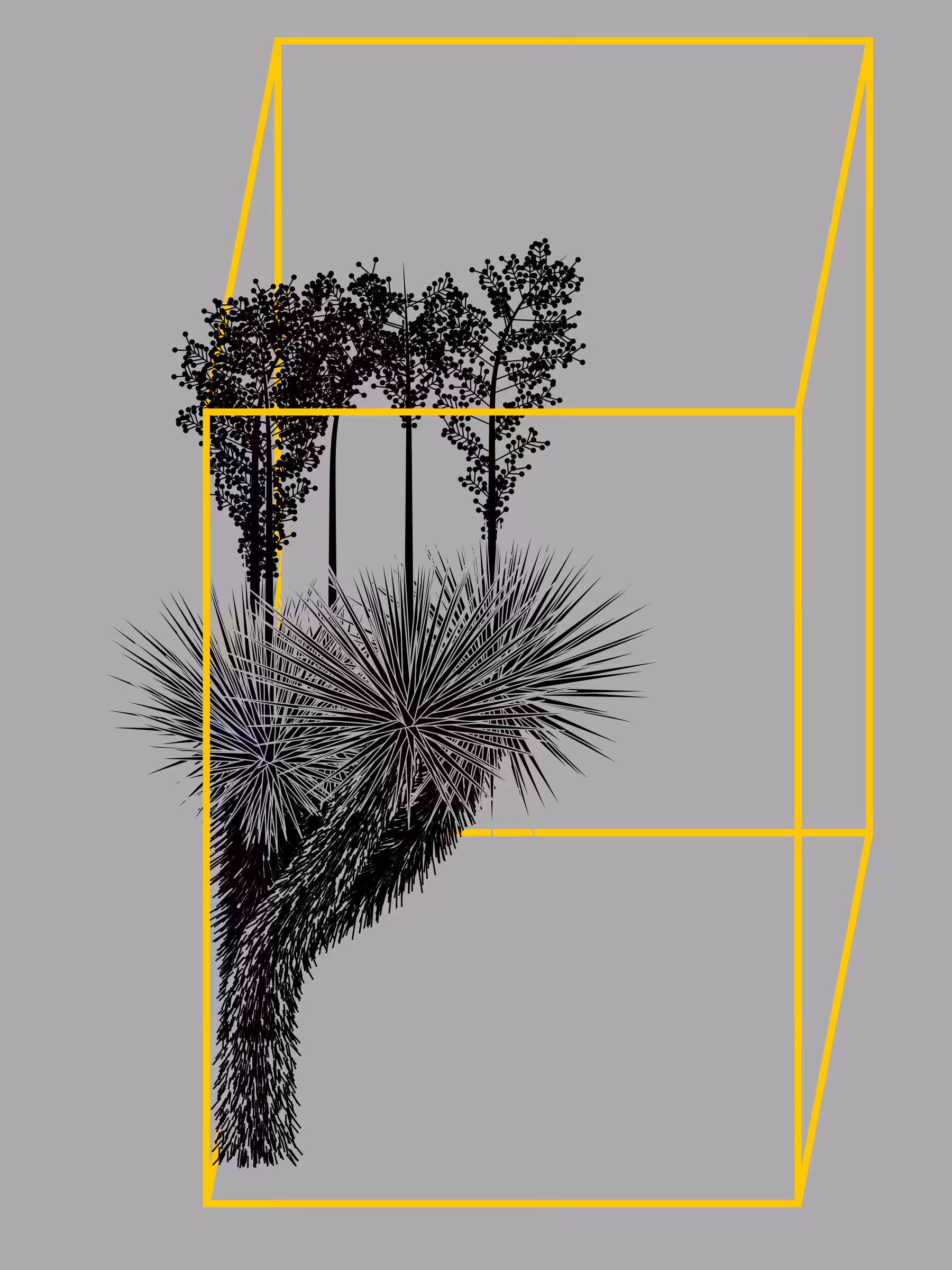 Marfa Yucca #46