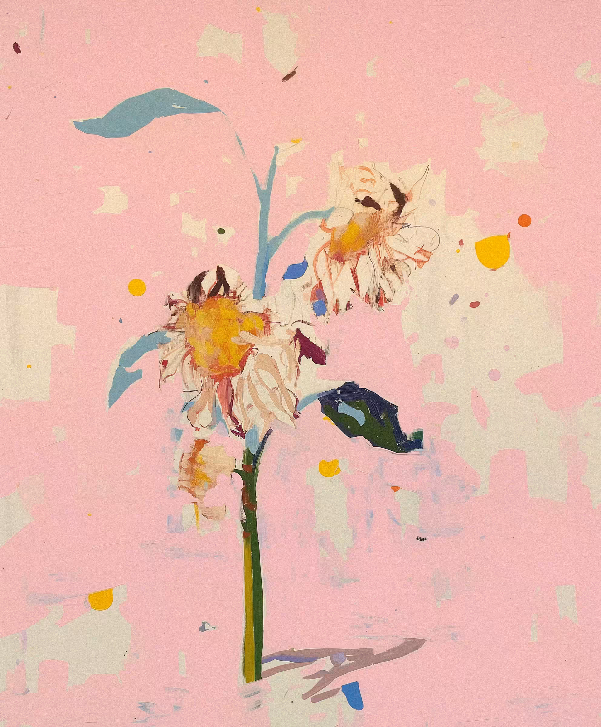 Rosy Drift