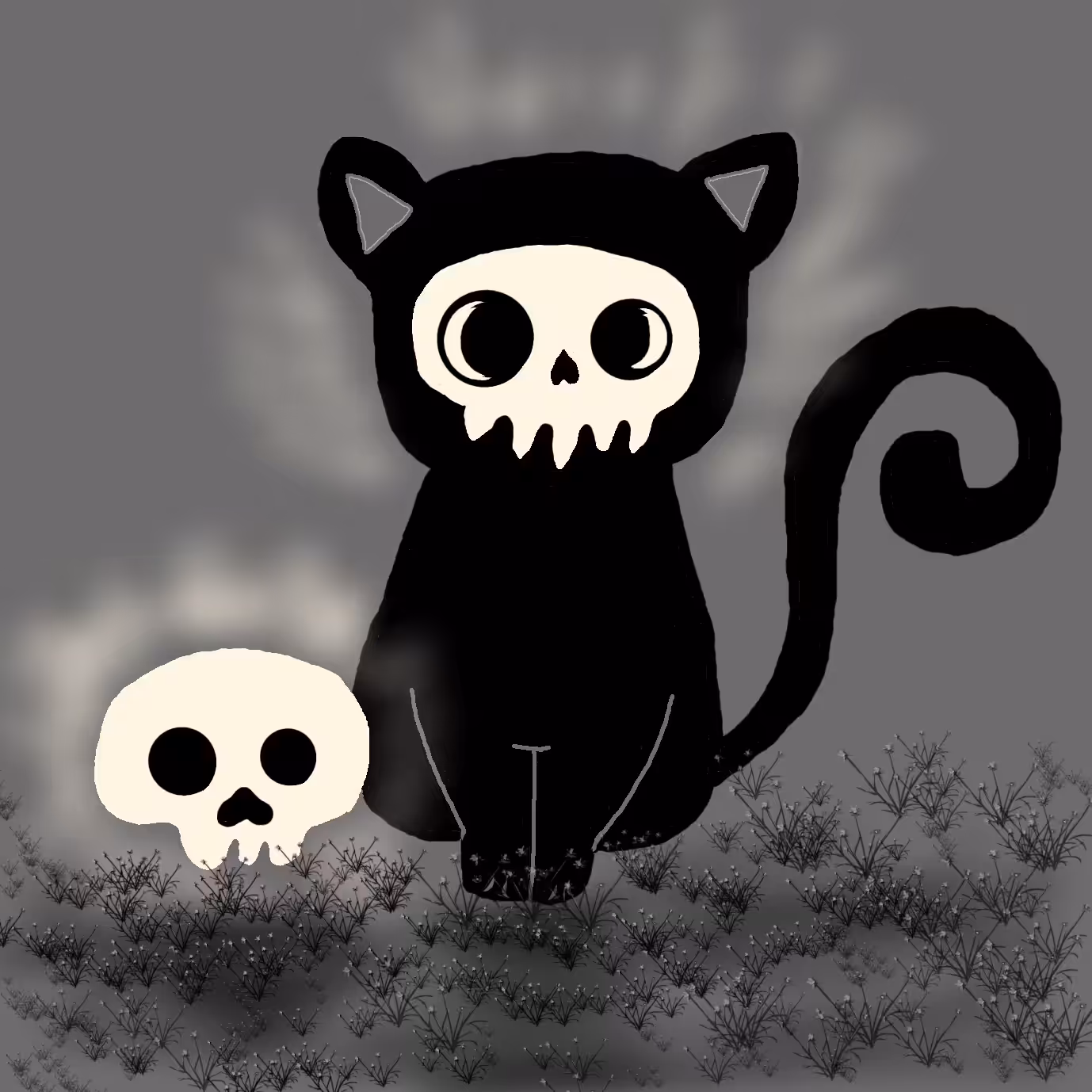 Kitty in dark