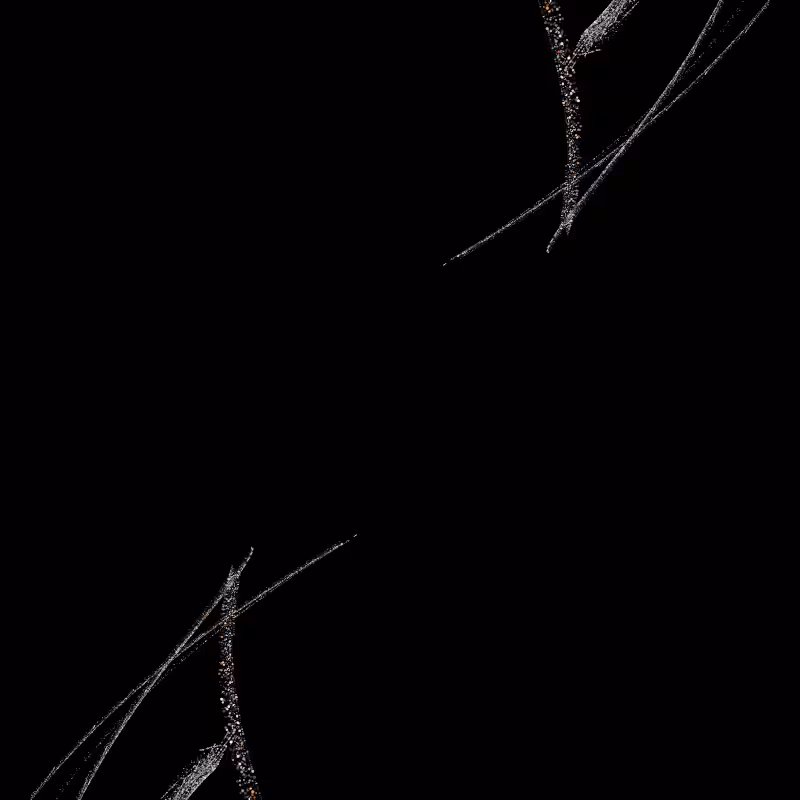 Vortex #265