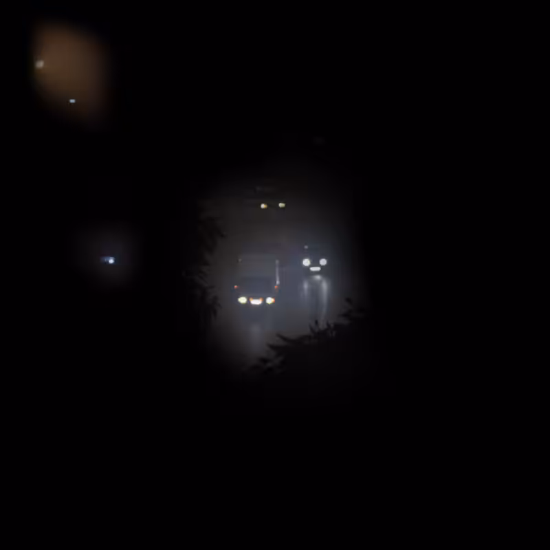 Glimpses in the shadow #10