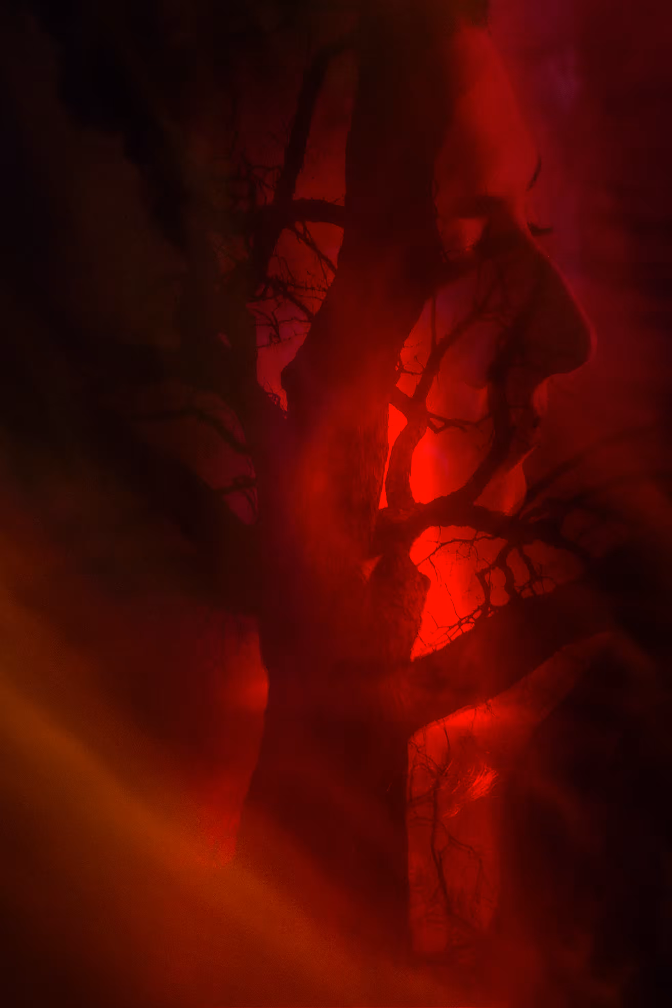 Tethered Memories: Hellbound