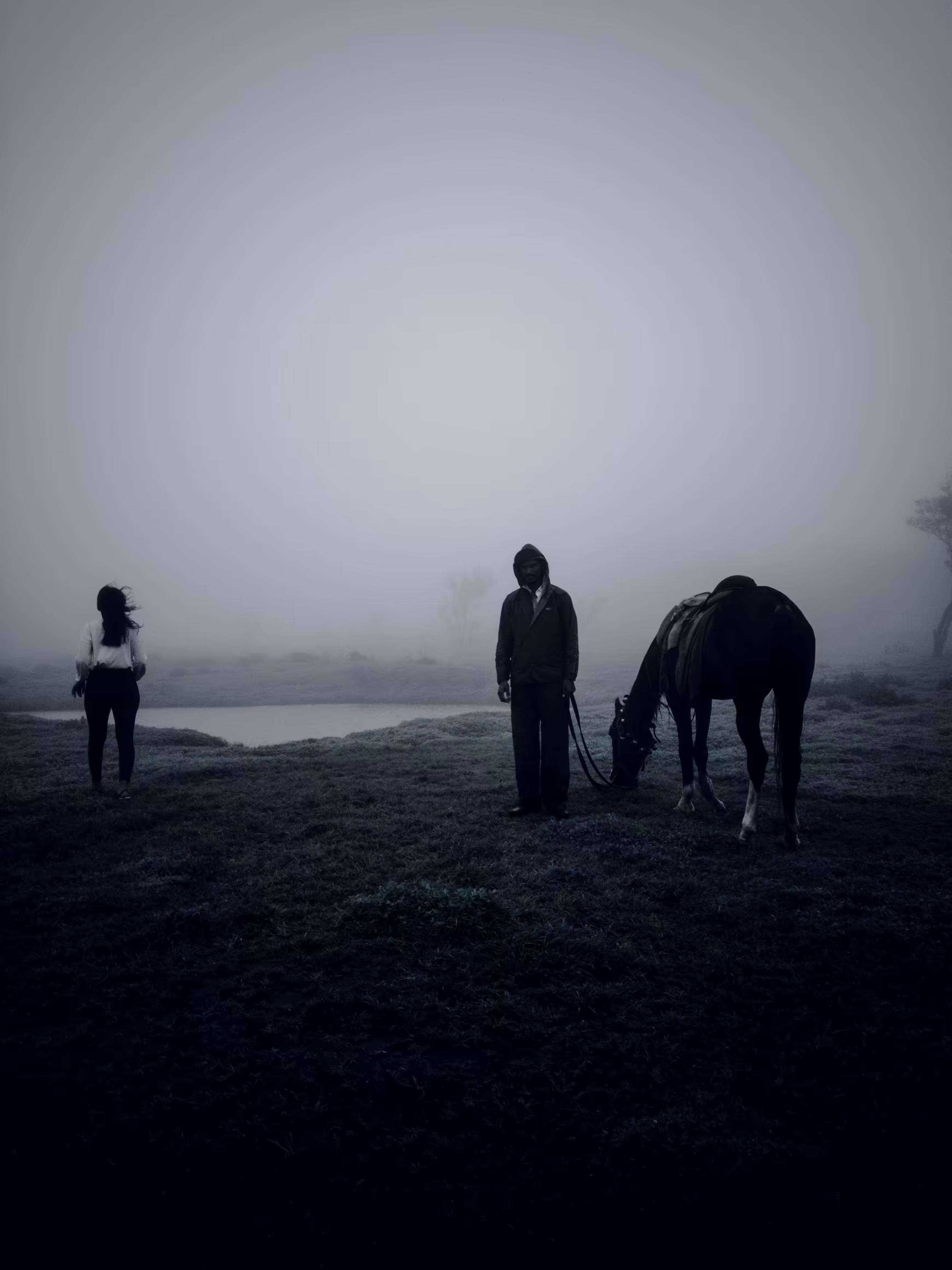 Sound Of Silence 
