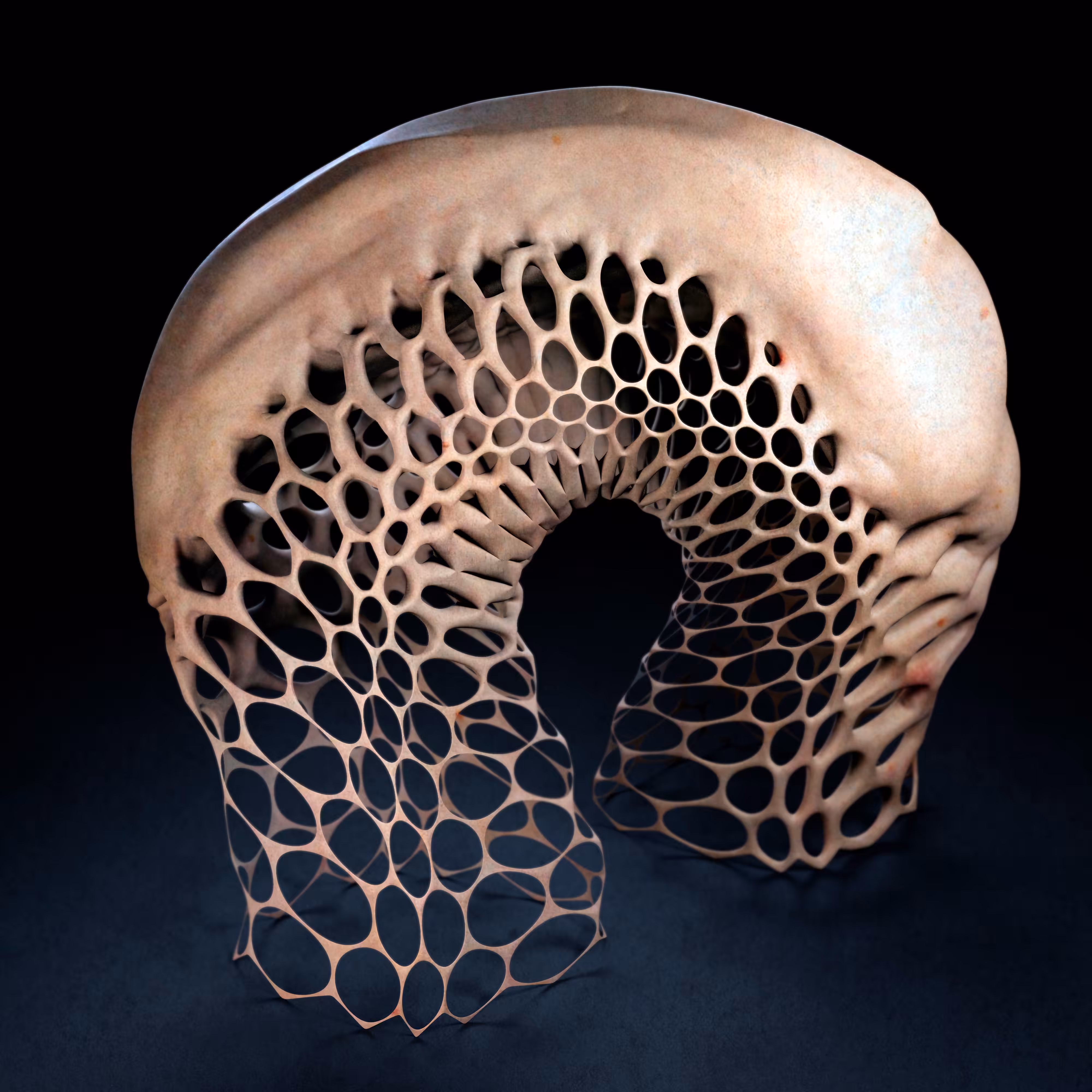 Biostructure II
