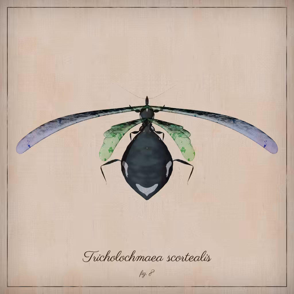 ProcGen Entomology #433