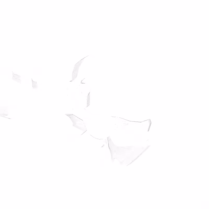 traces #4