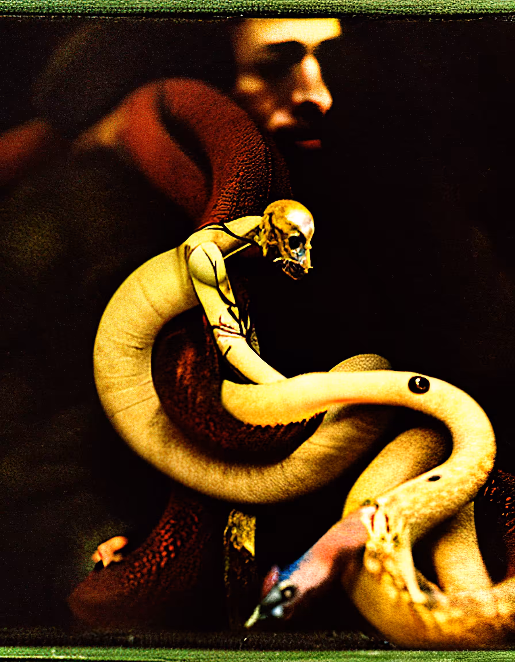 Snake lovers 10