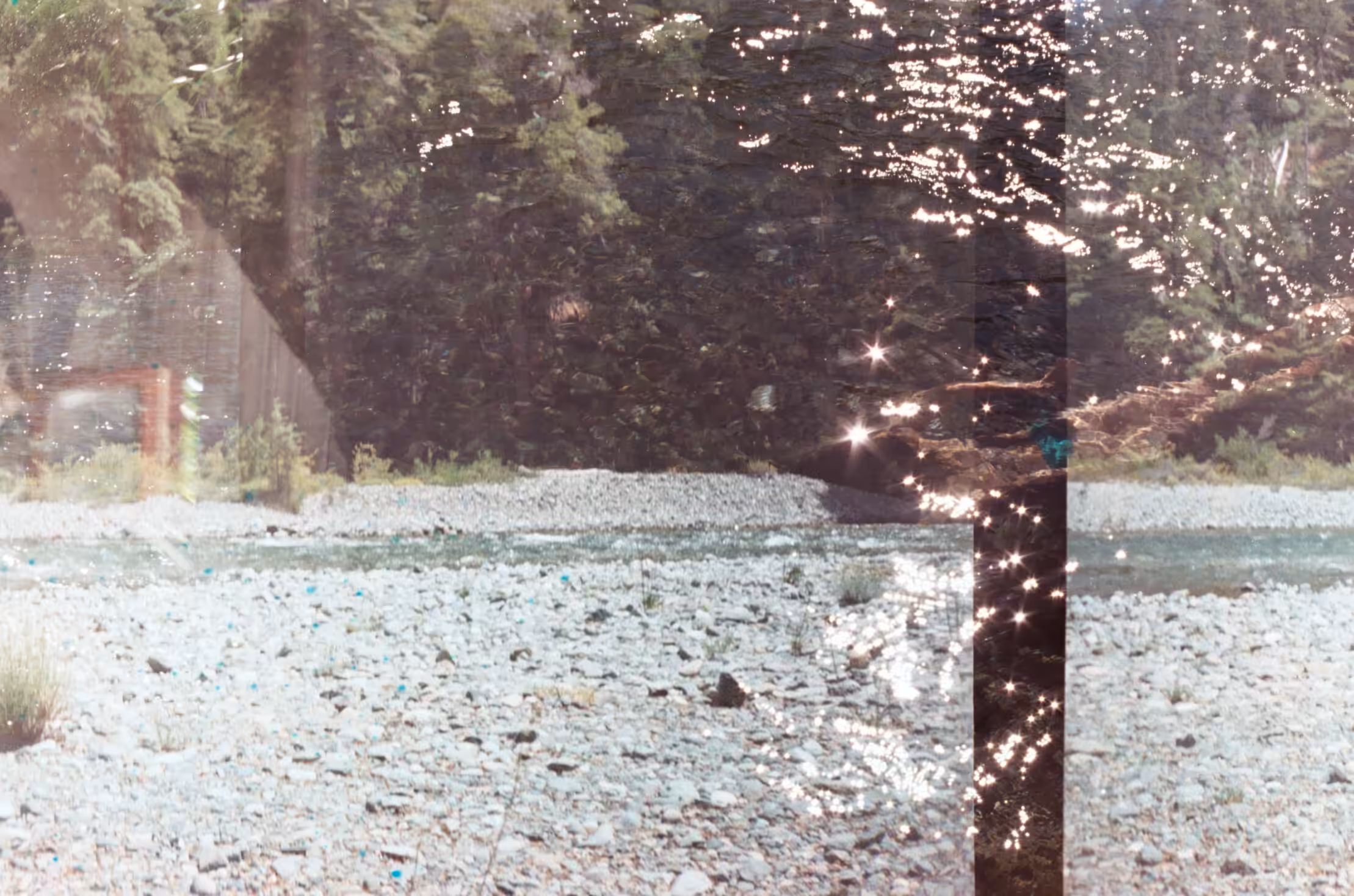 Analog photography