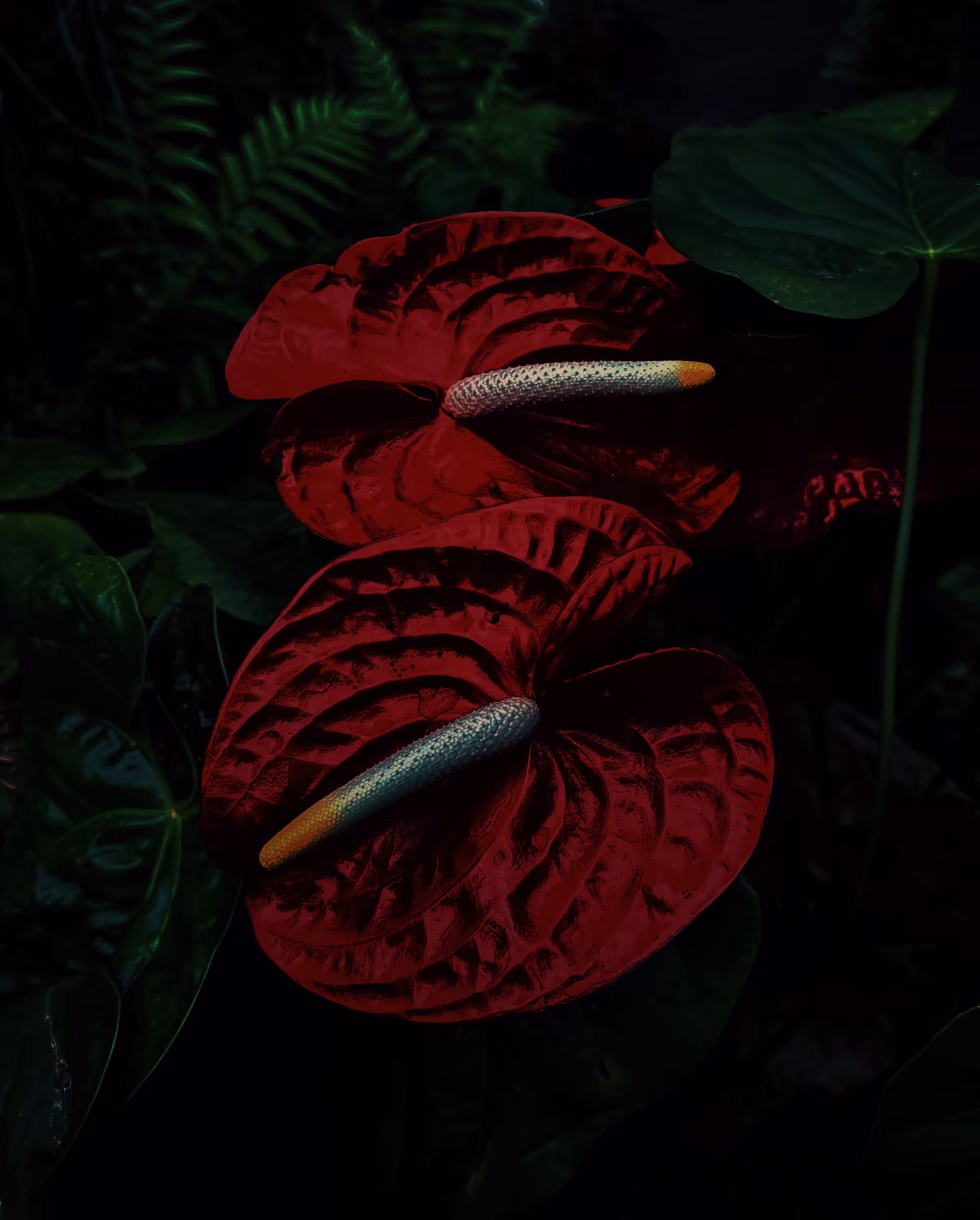Floral Decadence: Beautiful Monster 