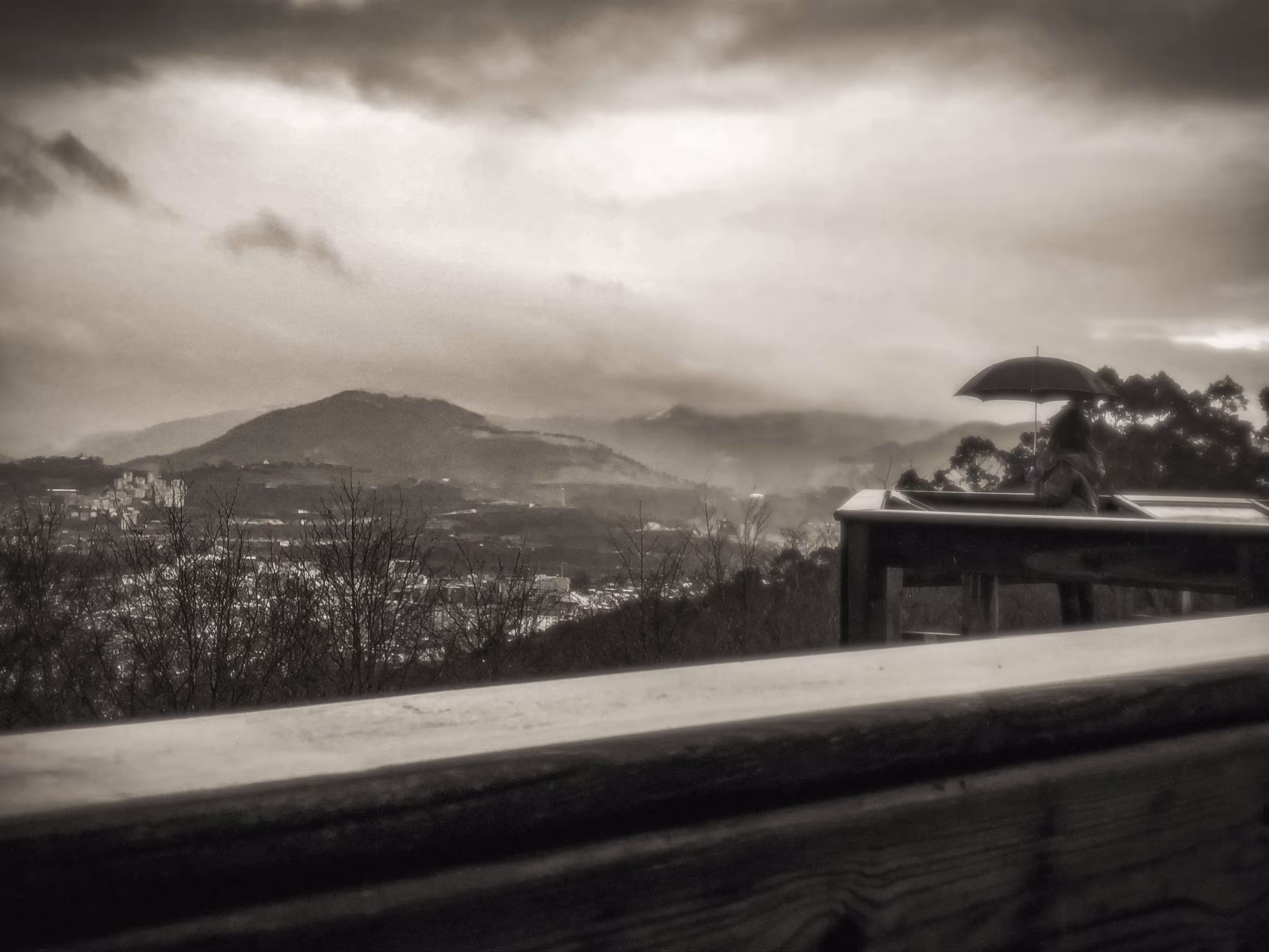  Lookout