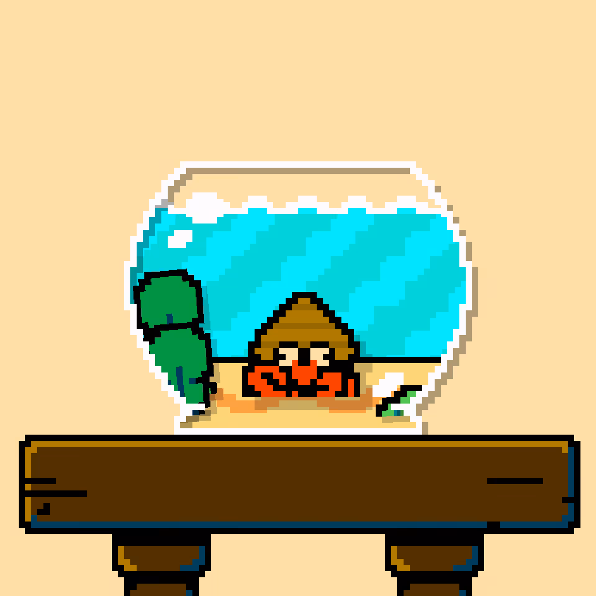 hermit crab #138