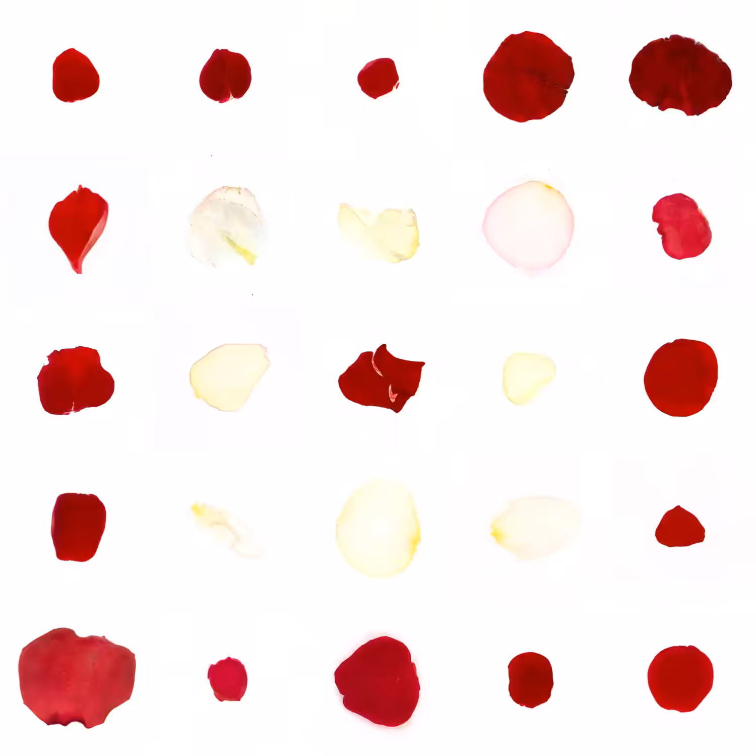 Infinite Petals 5x5#20502