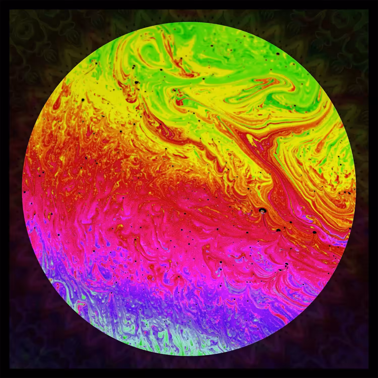 Undiscovered Colors #037