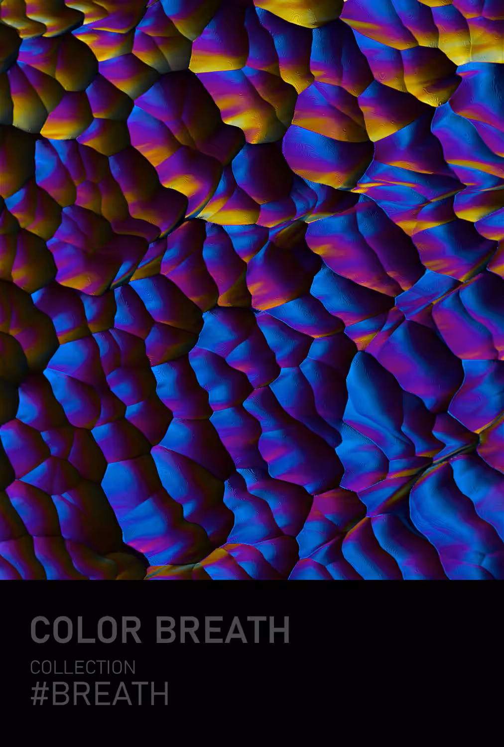COLOR BREATH