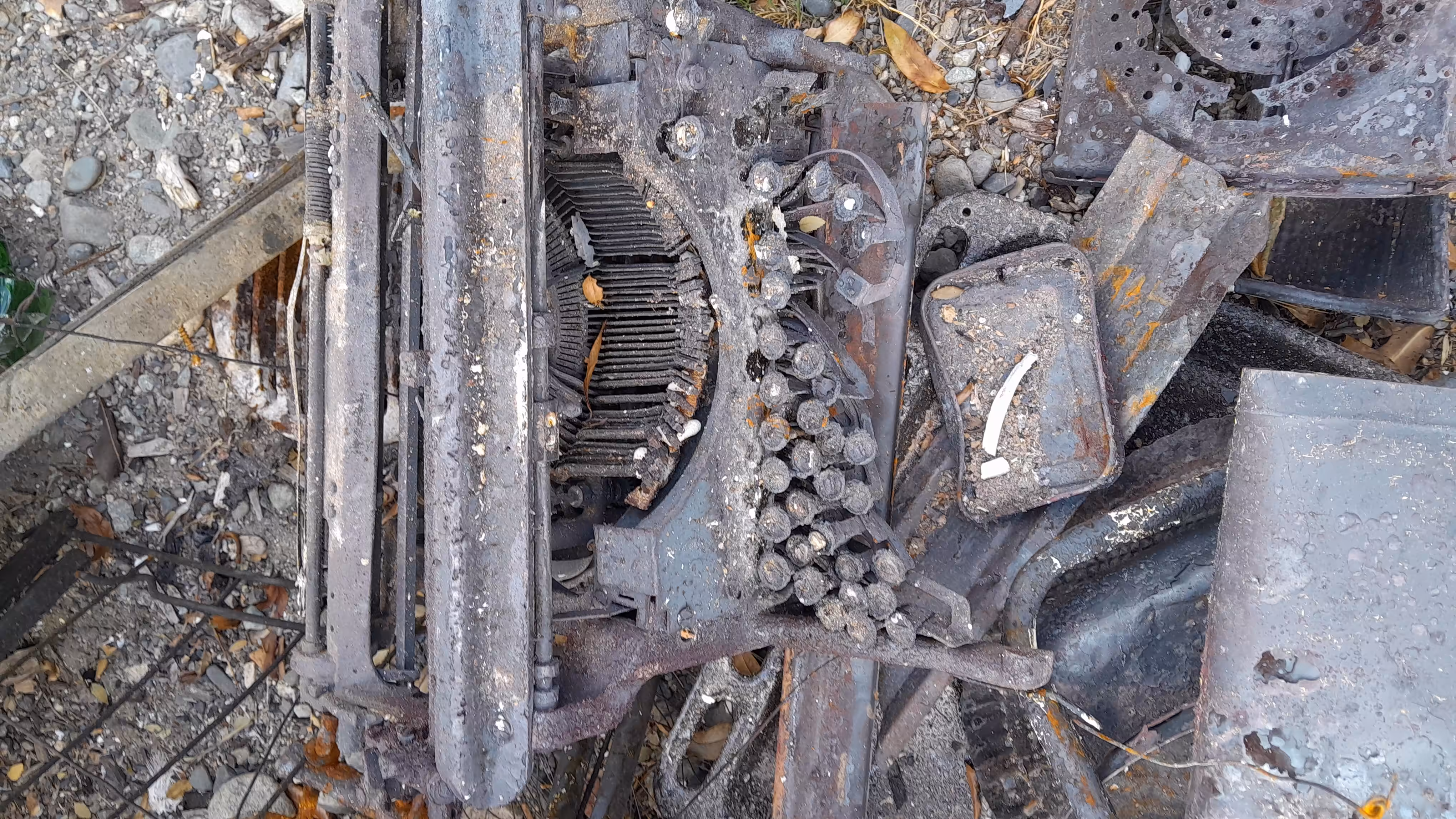 the typewriter #1