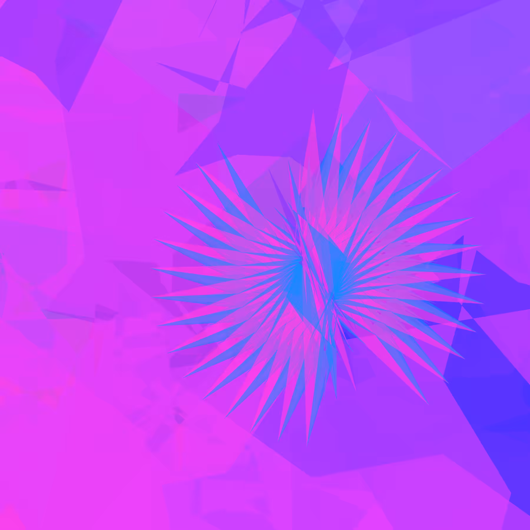 Tillandsia Lens #35
