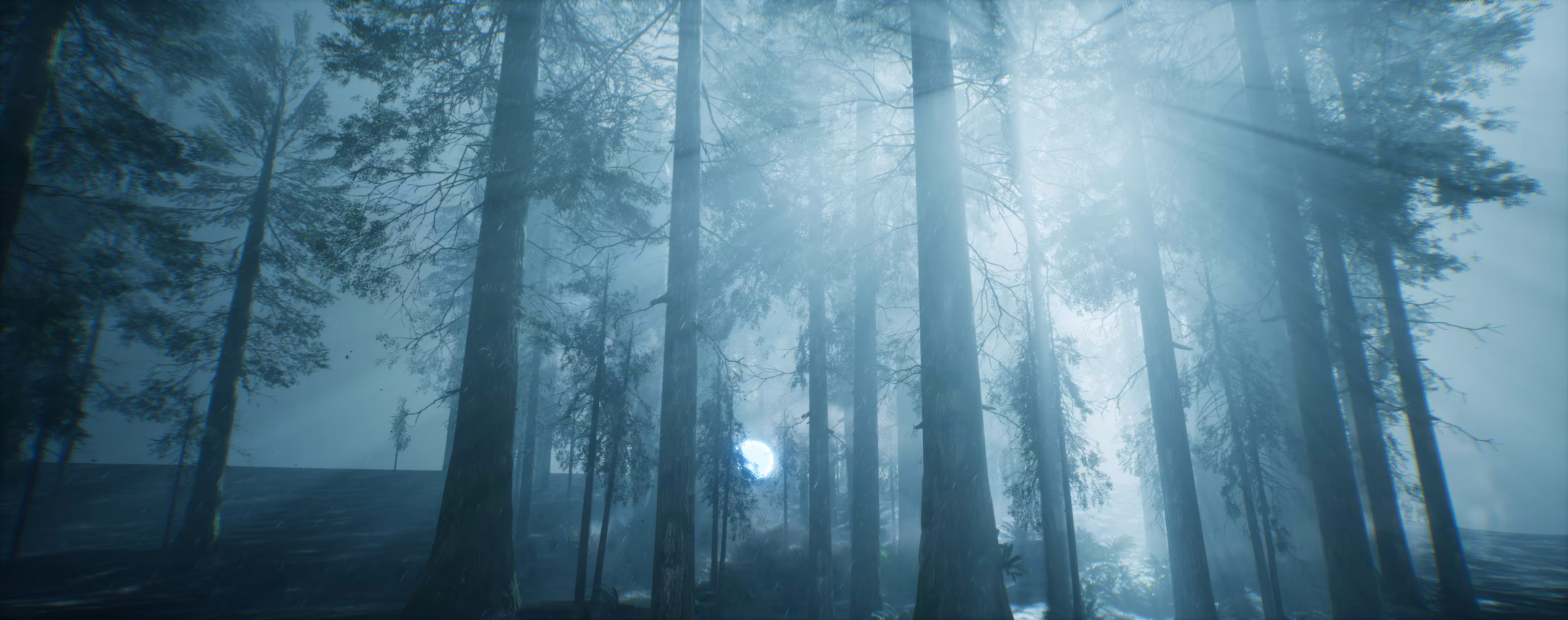 Forest of The Giants