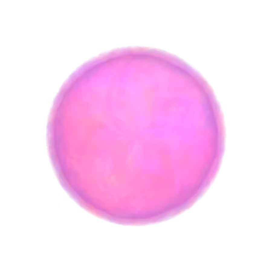 Energy #13