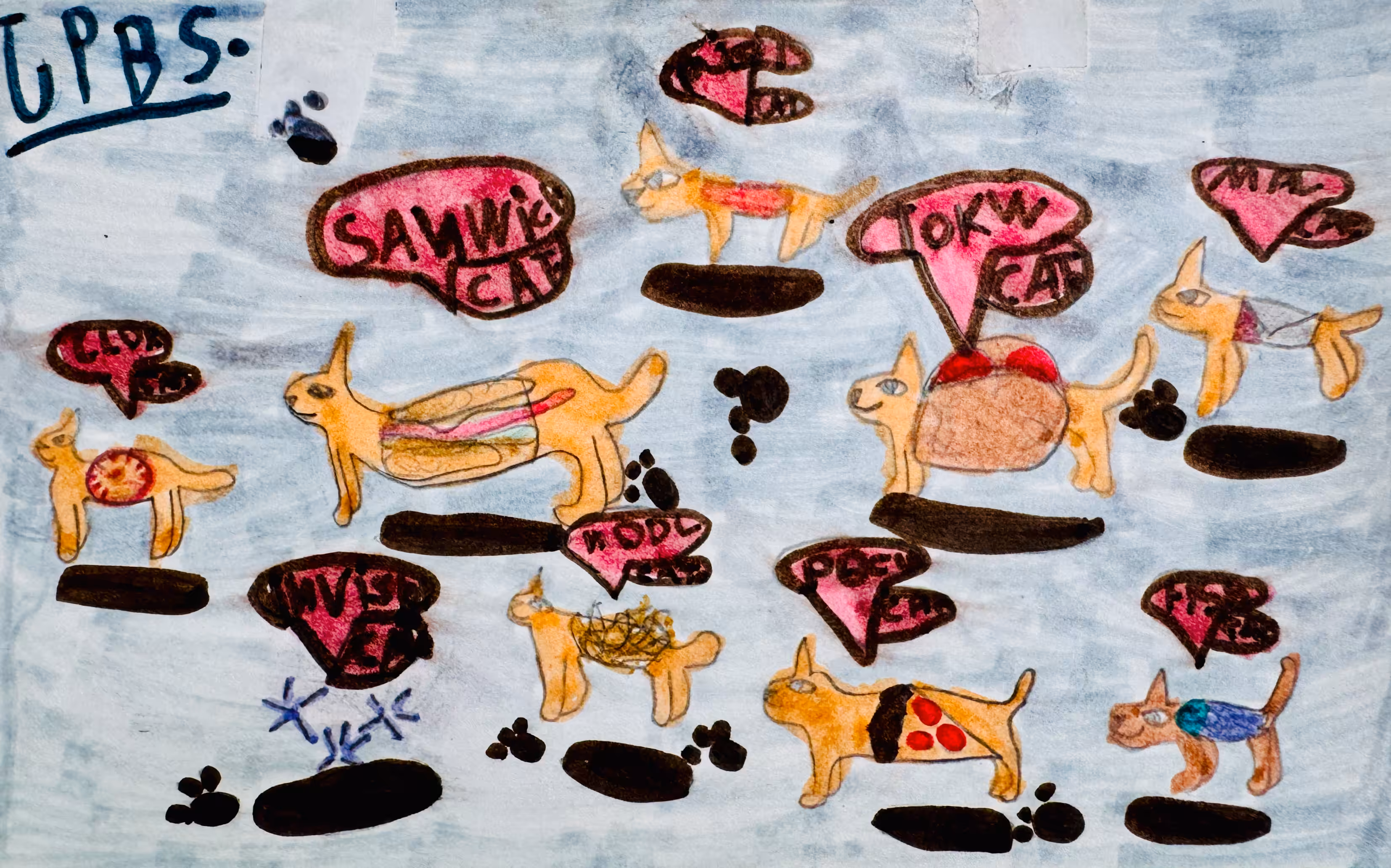 Tuna Cats