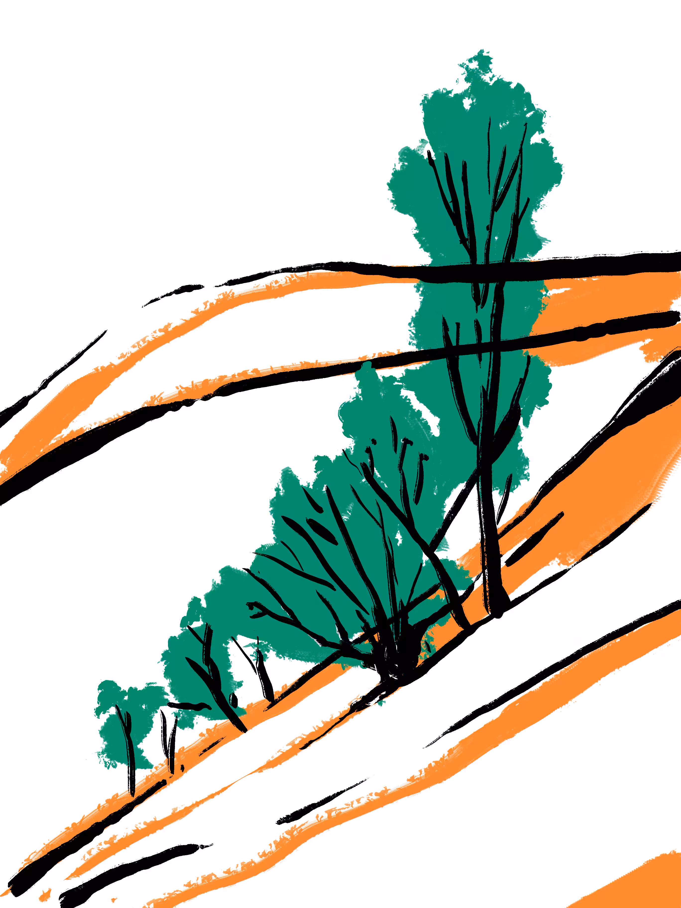 Quick Sketches