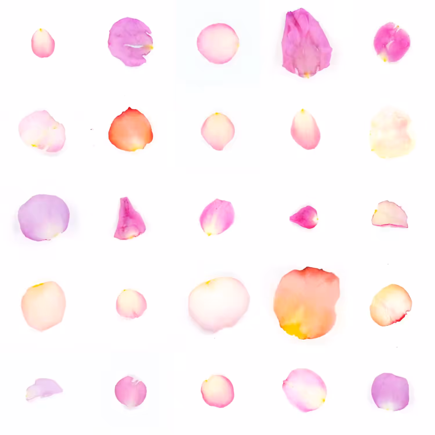 Infinite Petals 5x5#20687