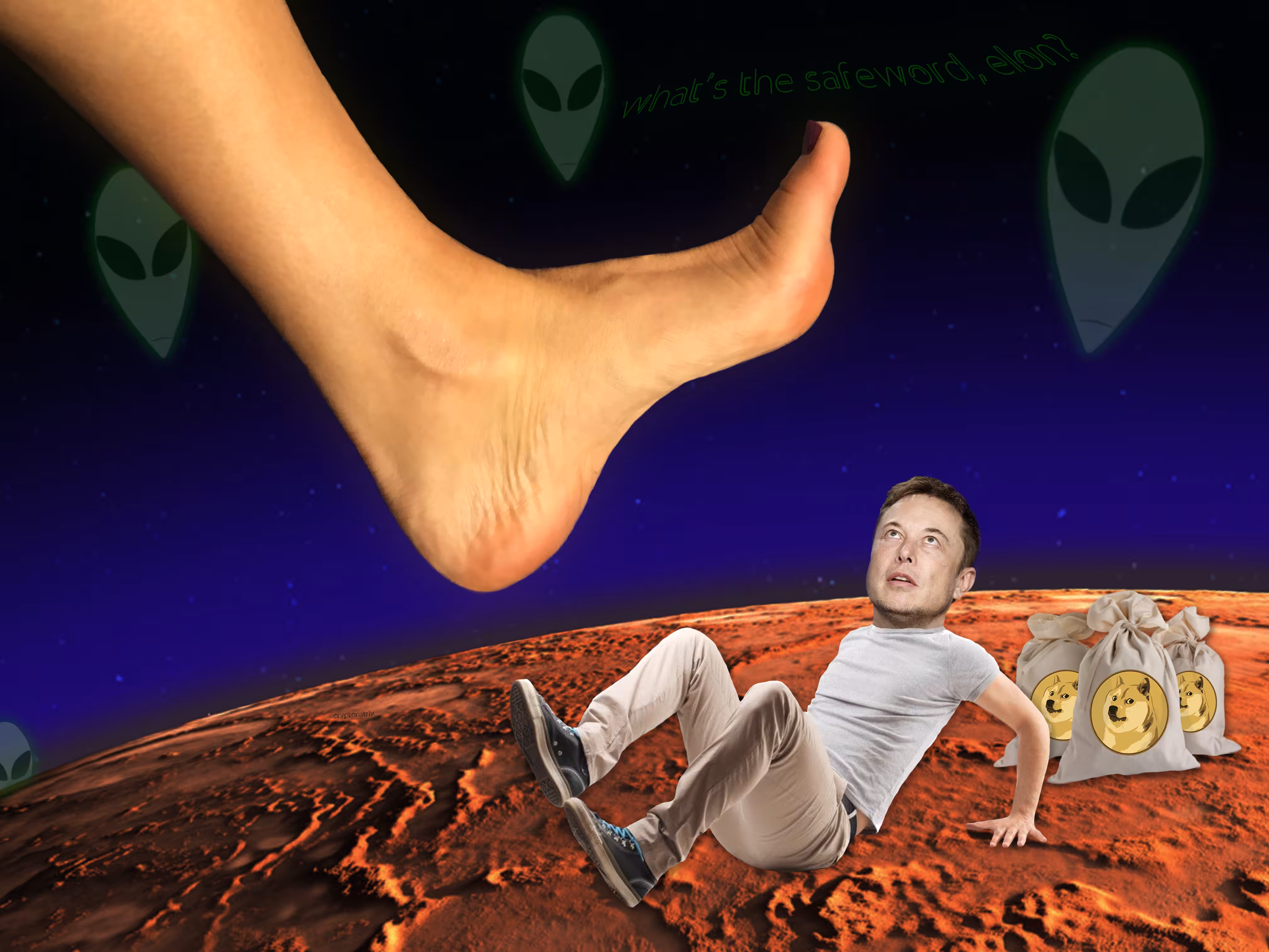 what's the safeword, elon?