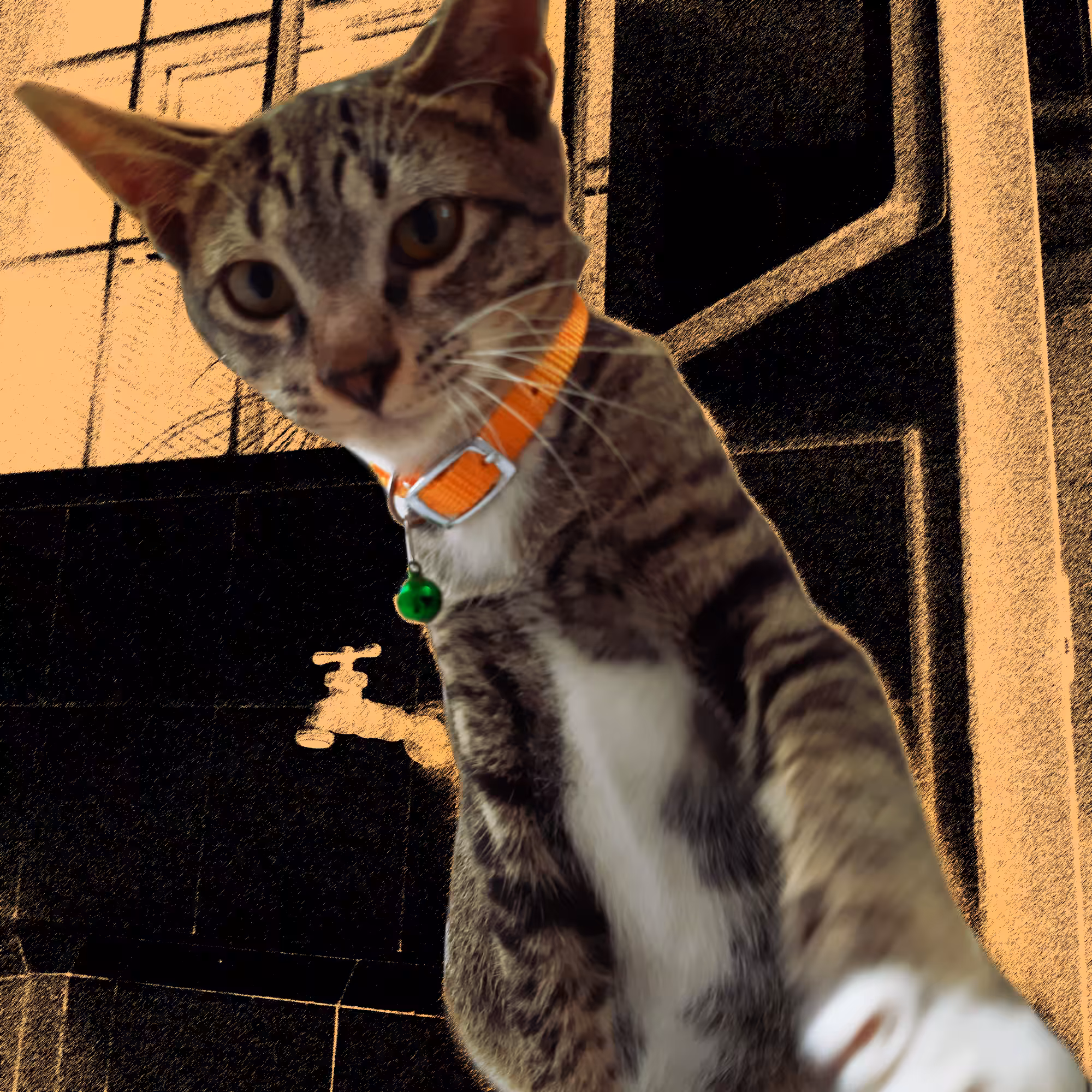 Pusskin #22 - Yo Man!