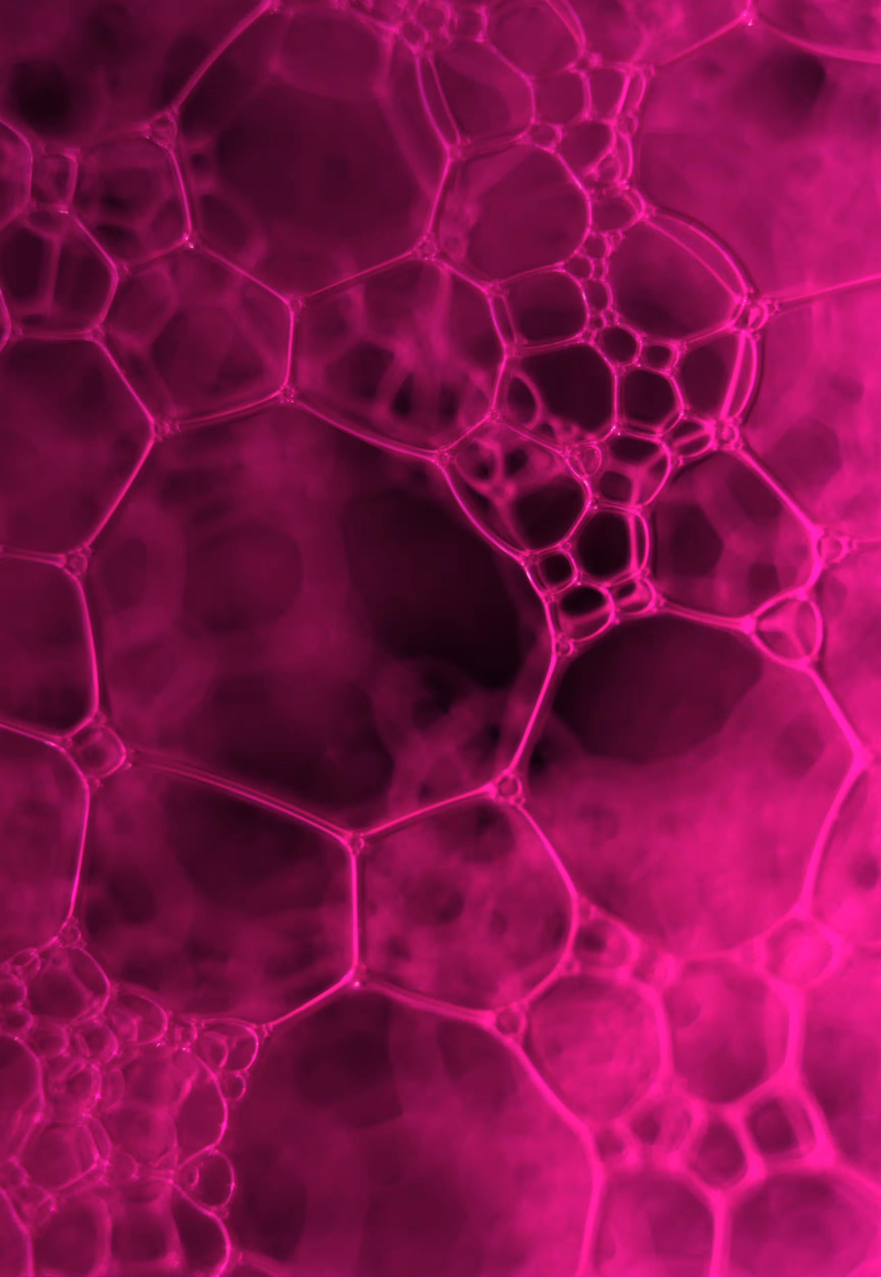 Abstract World of Soap Bubbles: #146 Bubbles