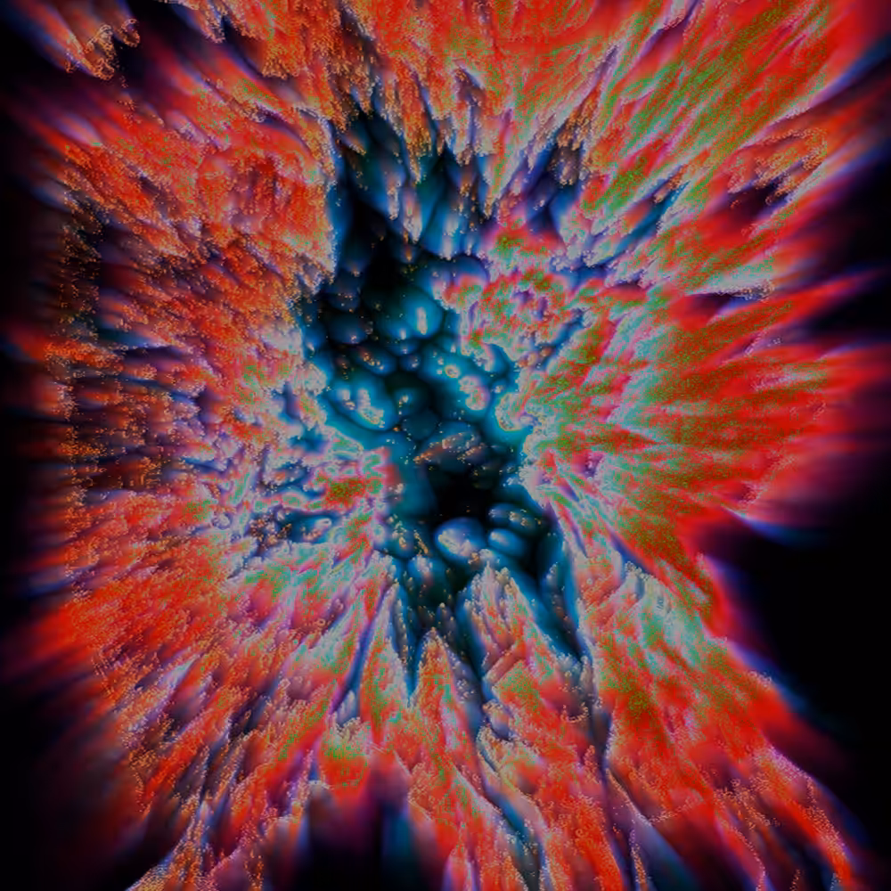 Acolhido II 