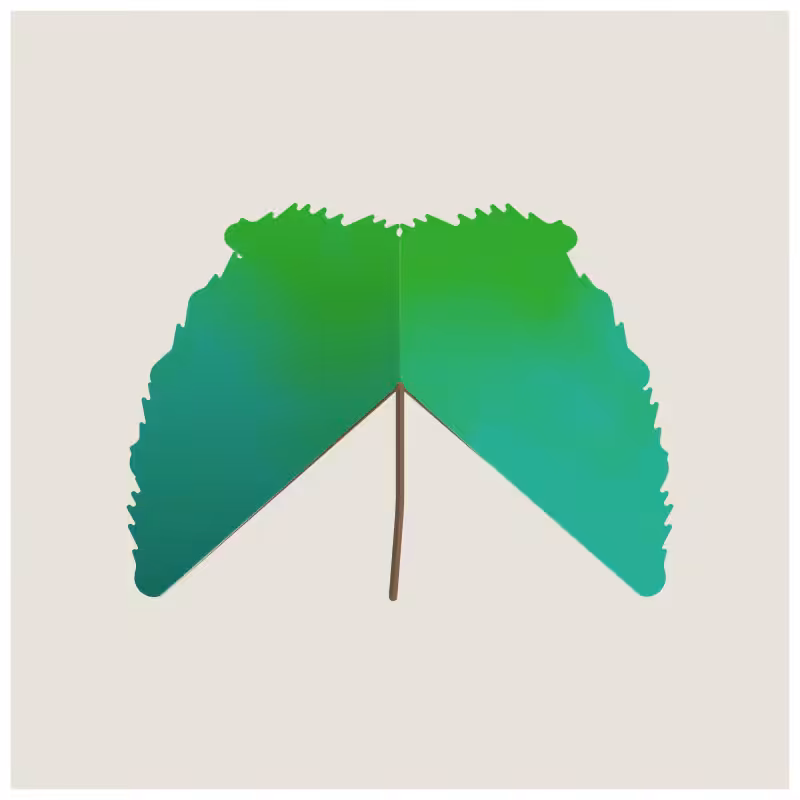 Leaves #41
